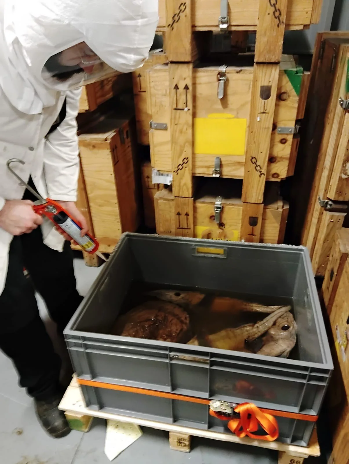 Intervention et conditionnement d’urgence pour des spécimens en fluide