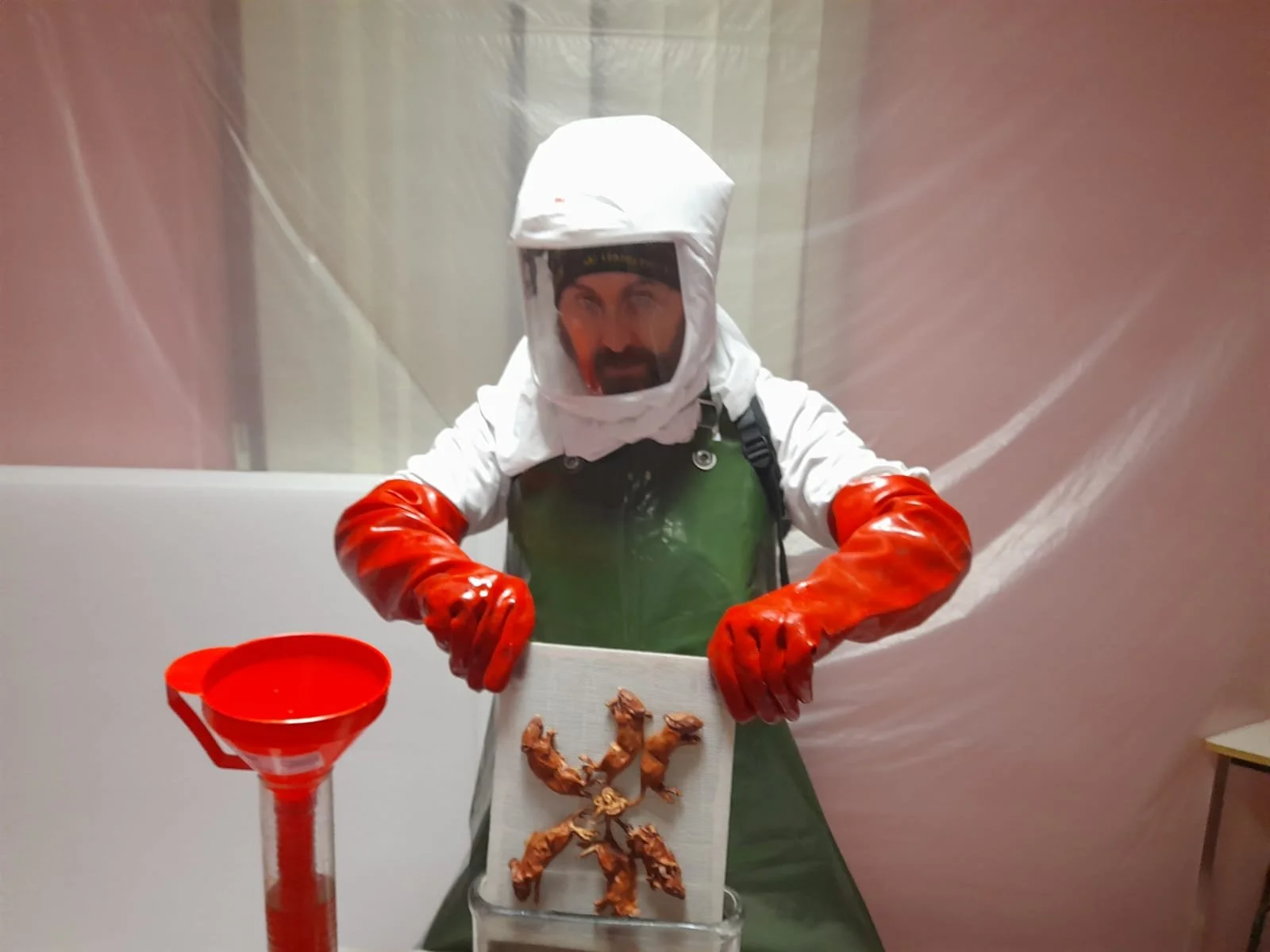 "Ce phénomène est très mal compris par les zoologistes" : le roi de rats du musée de Châteaudun s’est refait une beauté [Echo Républicain]