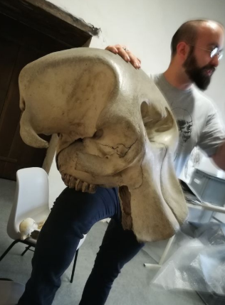 Une belle sortie au Musée par la fête de la Science pour les GS/CP!