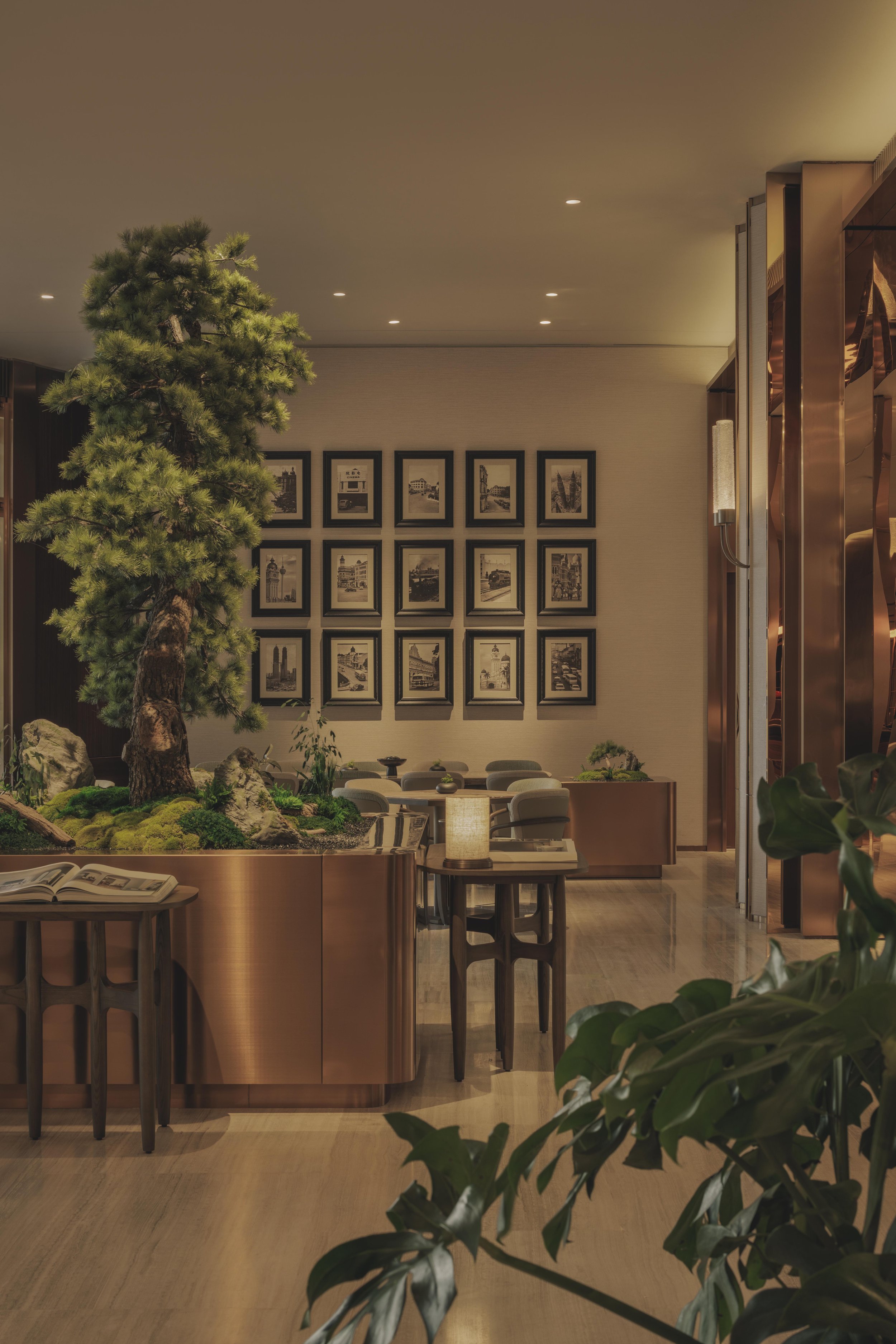 An elegant interior space decorated with indoor plants, framed black-and-white photographs on the wall, and warm lighting.