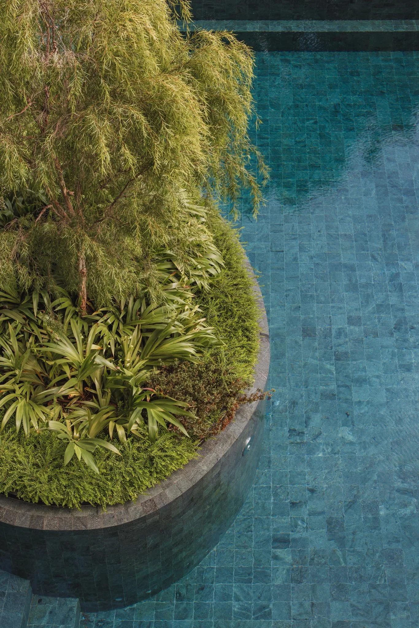 A curved pool with blue tile lining and surrounding lush green plants and shrubs.