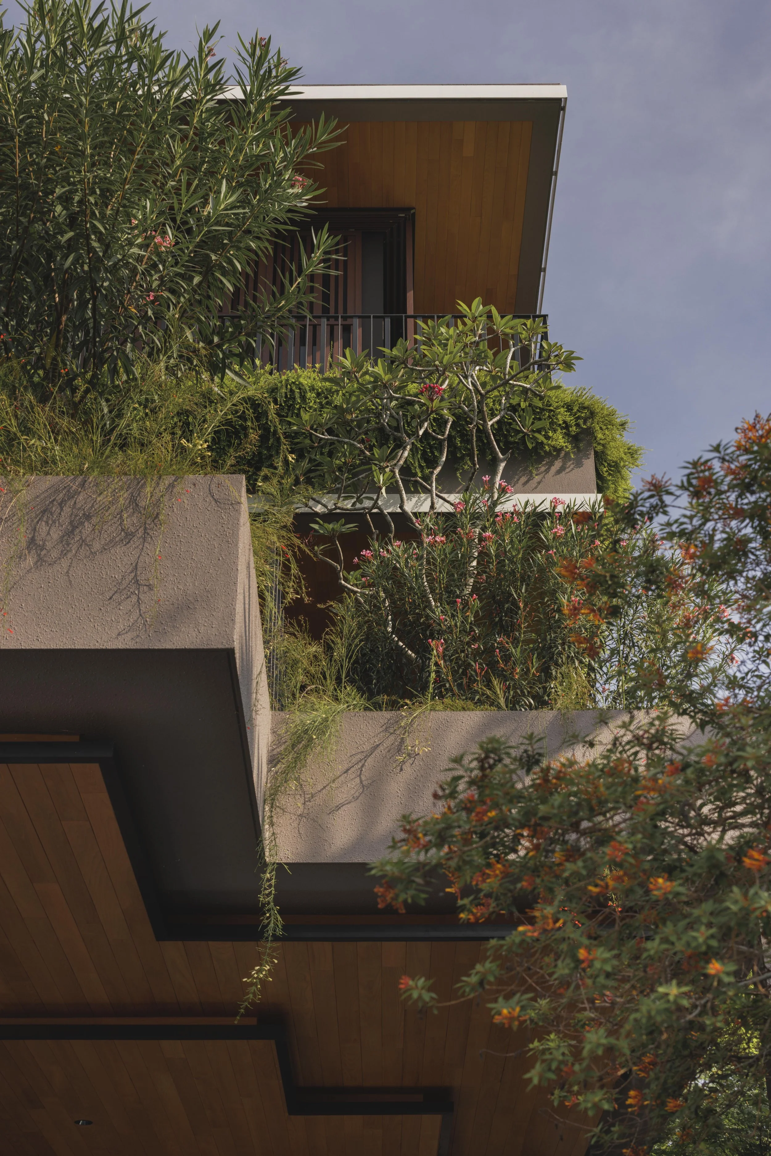 A modern house with a wood-paneled ceiling and concrete walls, surrounded by lush greenery and trees.