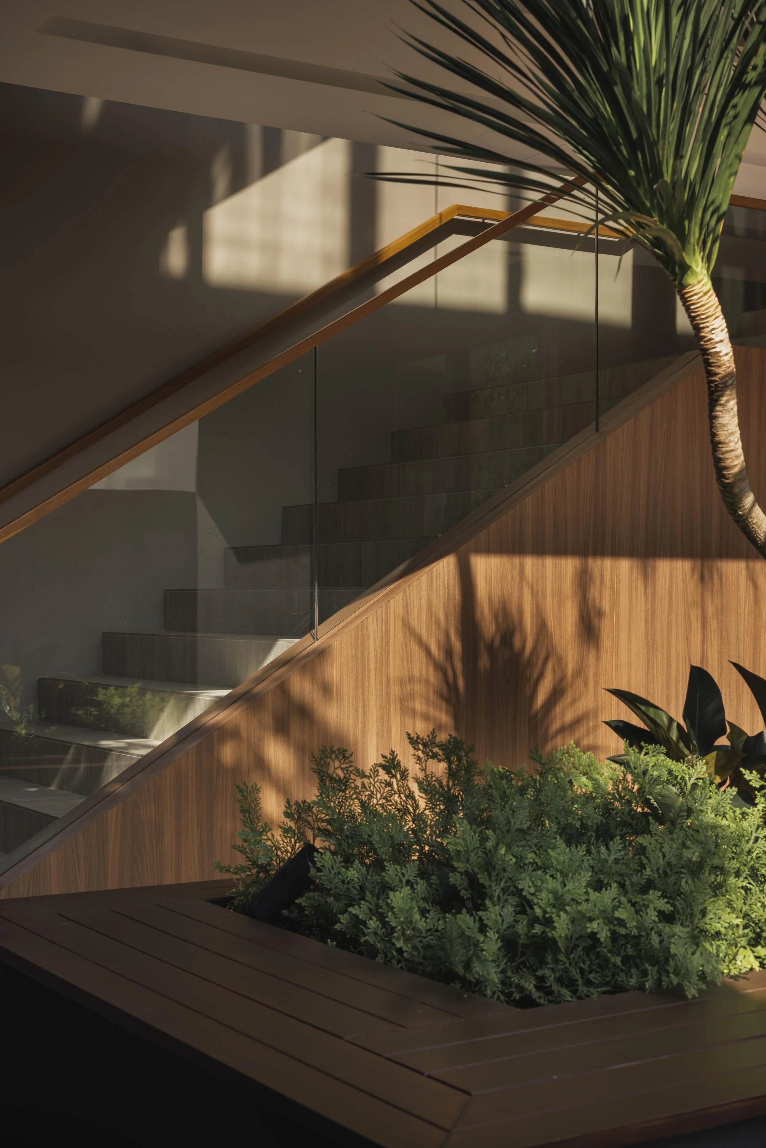 Interior view of a modern staircase with glass railing, wooden handrail, and surrounding lush green plants, illuminated by natural sunlight.