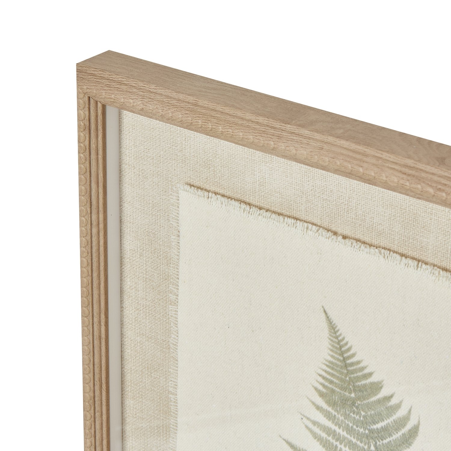 Fern Wall Art
