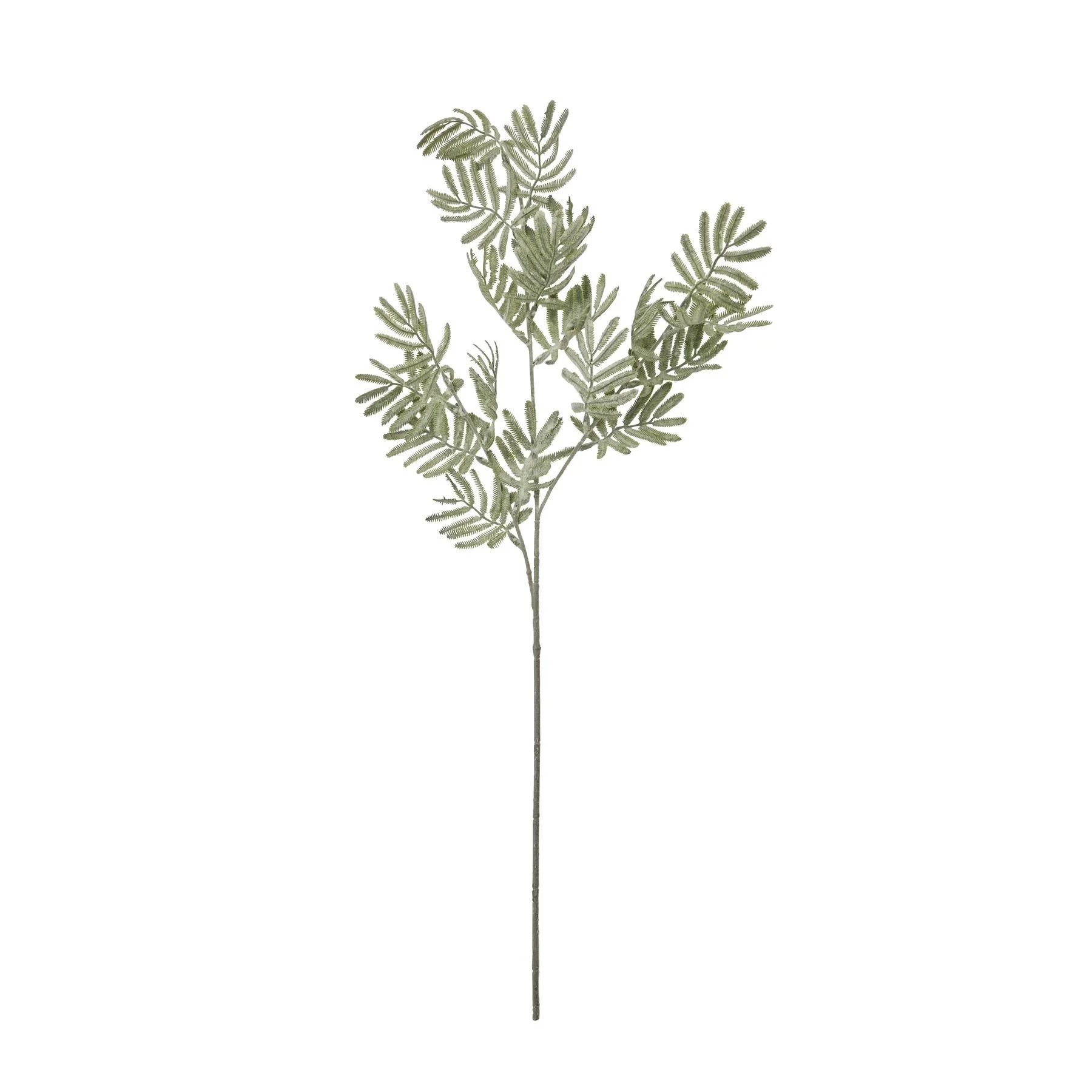 faux artificial greenery silver wattle leaf