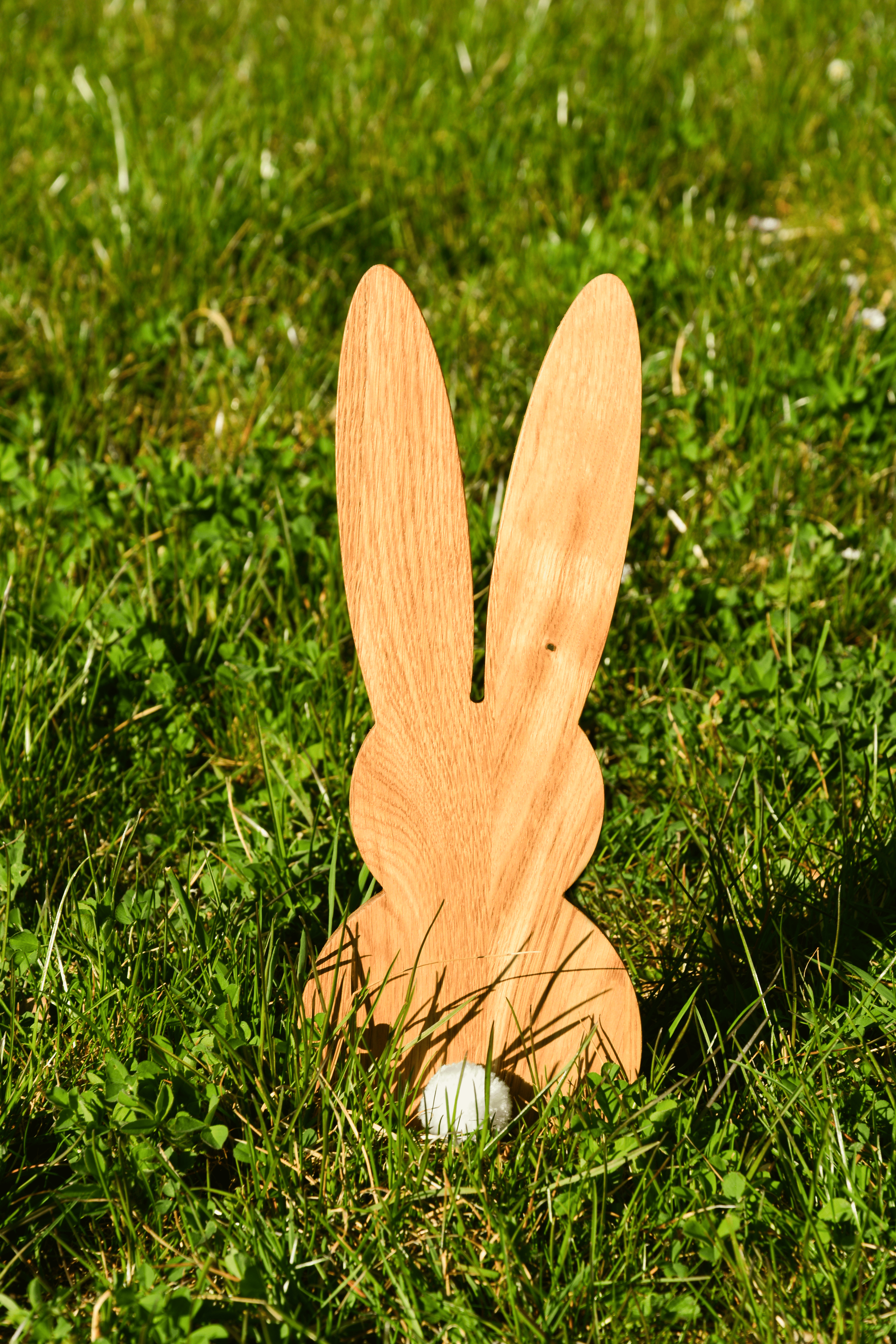 DSC_0224.png
