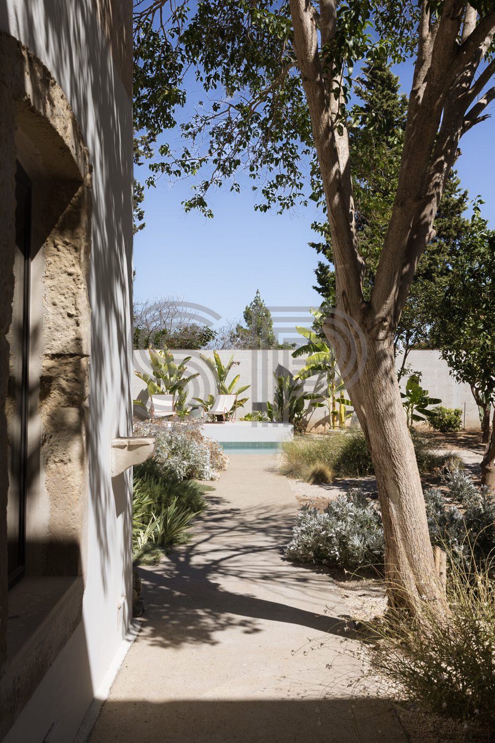 Private Mediterranean courtyard at a historic Puglia Palazzo with mature citrus trees, textured planting and swimming pool