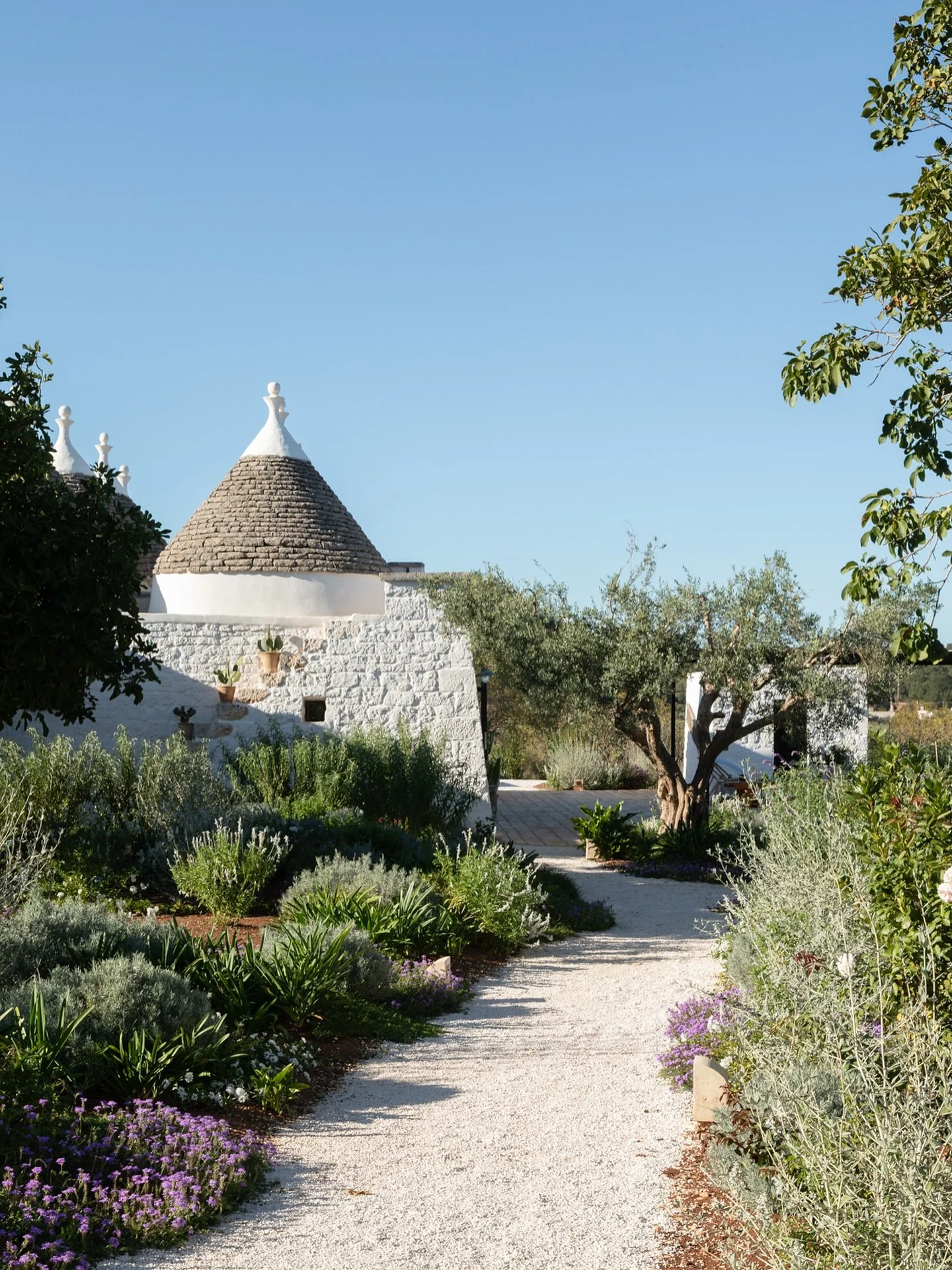 Location Y. Now live on our website. An immaculate interior of Pugliese charm set in 8 Trullo cones. A seriously beautiful and mature garden, views across the countryside of olive groves and vineyards. An infinity pool with broad terraces. Particular