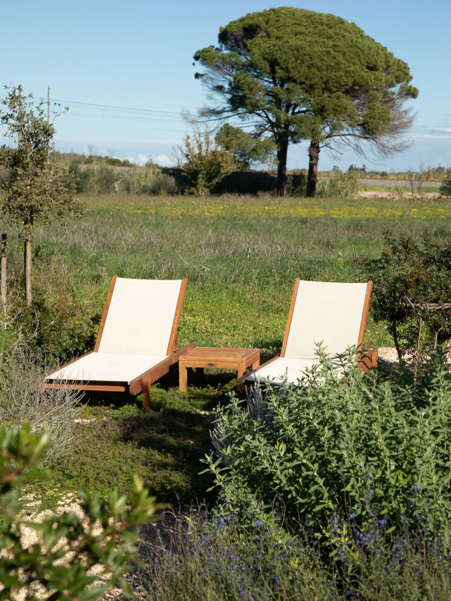 Location W. Now live on our website. A truly stunning villa, beautifully restored and curated. A rather incredible backdrop for product shoots and fashion alike. The front and side elevations so pretty in this original paint and the garden aromatic a