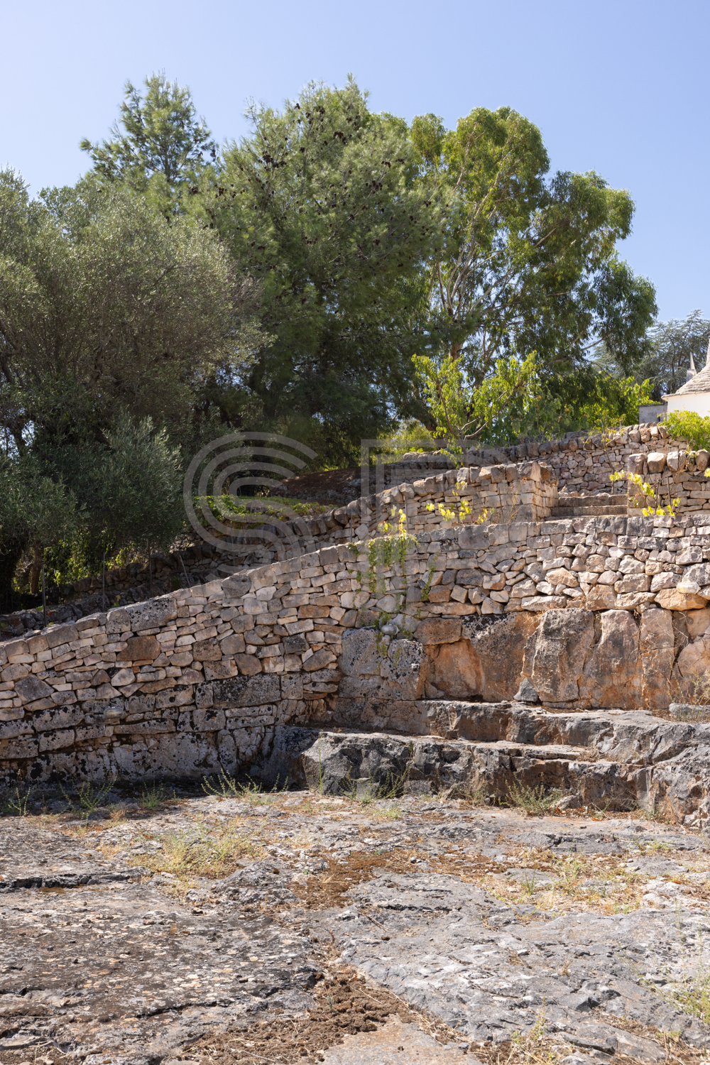 Rustic Puglia shoot location with extensive dry-stone walls, mature Mediterranean landscape and ancient stone terraces