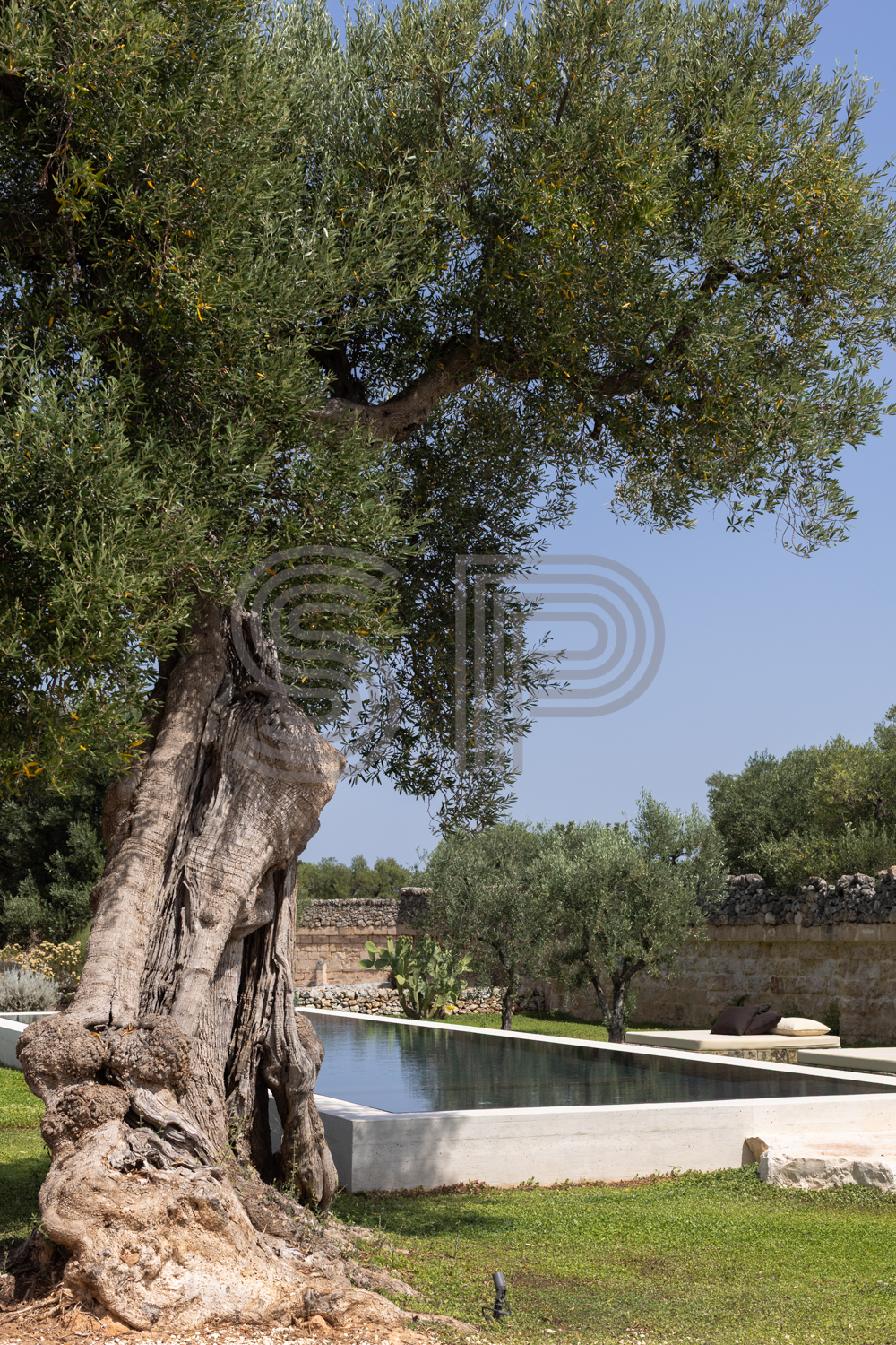Location SP002
