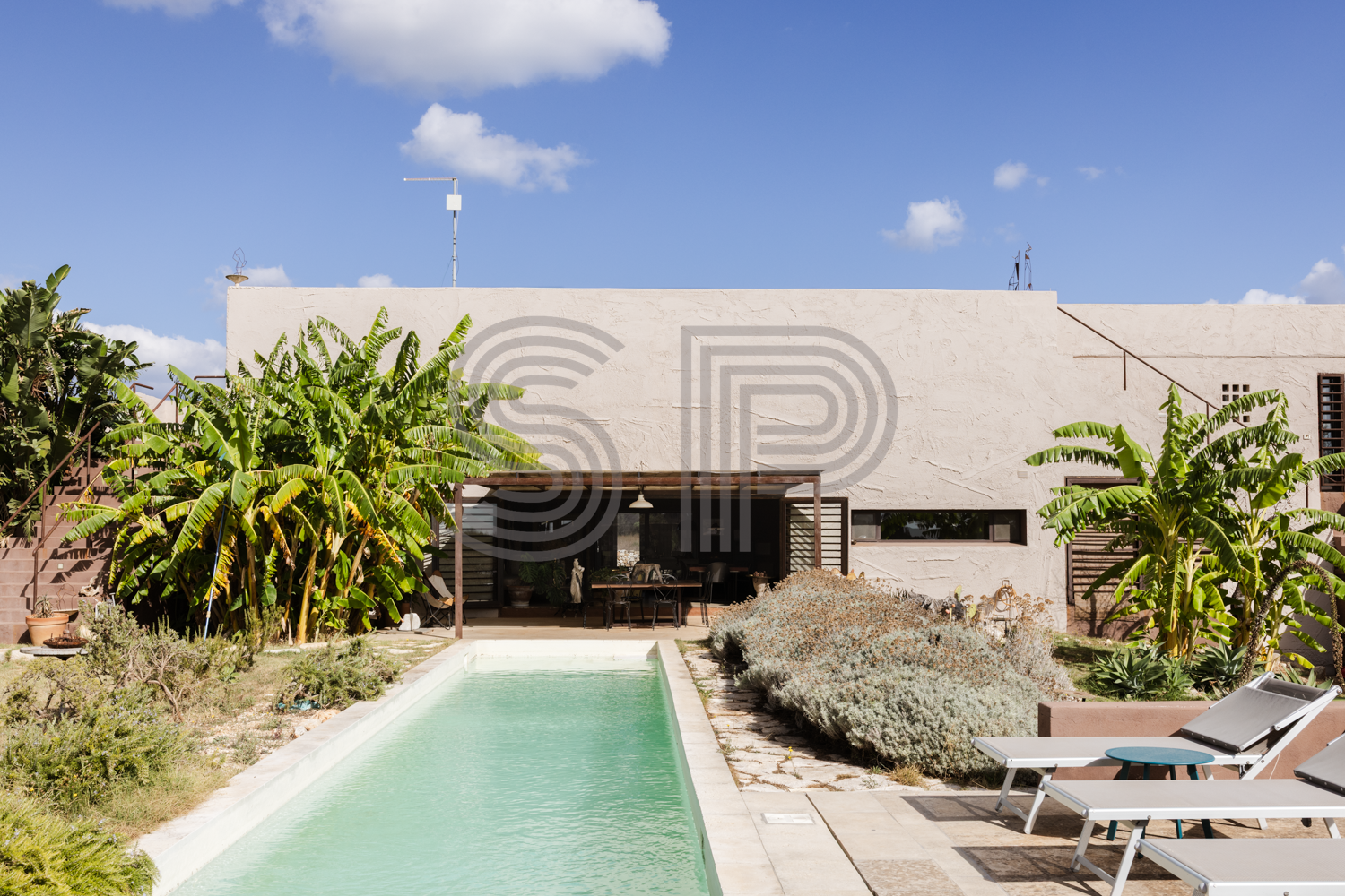 Contemporary Puglia villa shoot location with soft grey rendered architecture, long swimming pool and lush Mediterranean planting