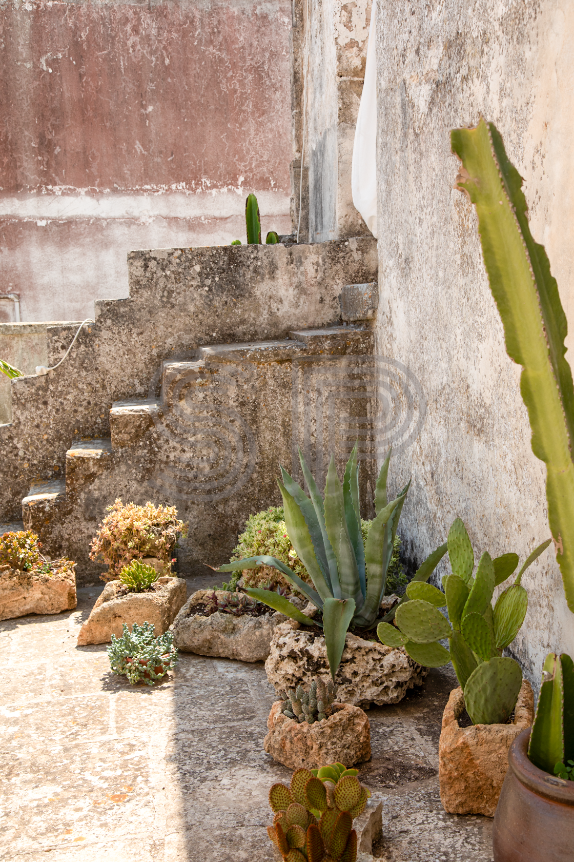Historic stone courtyard with external stone staircase, cactus and Mediterranean planting.