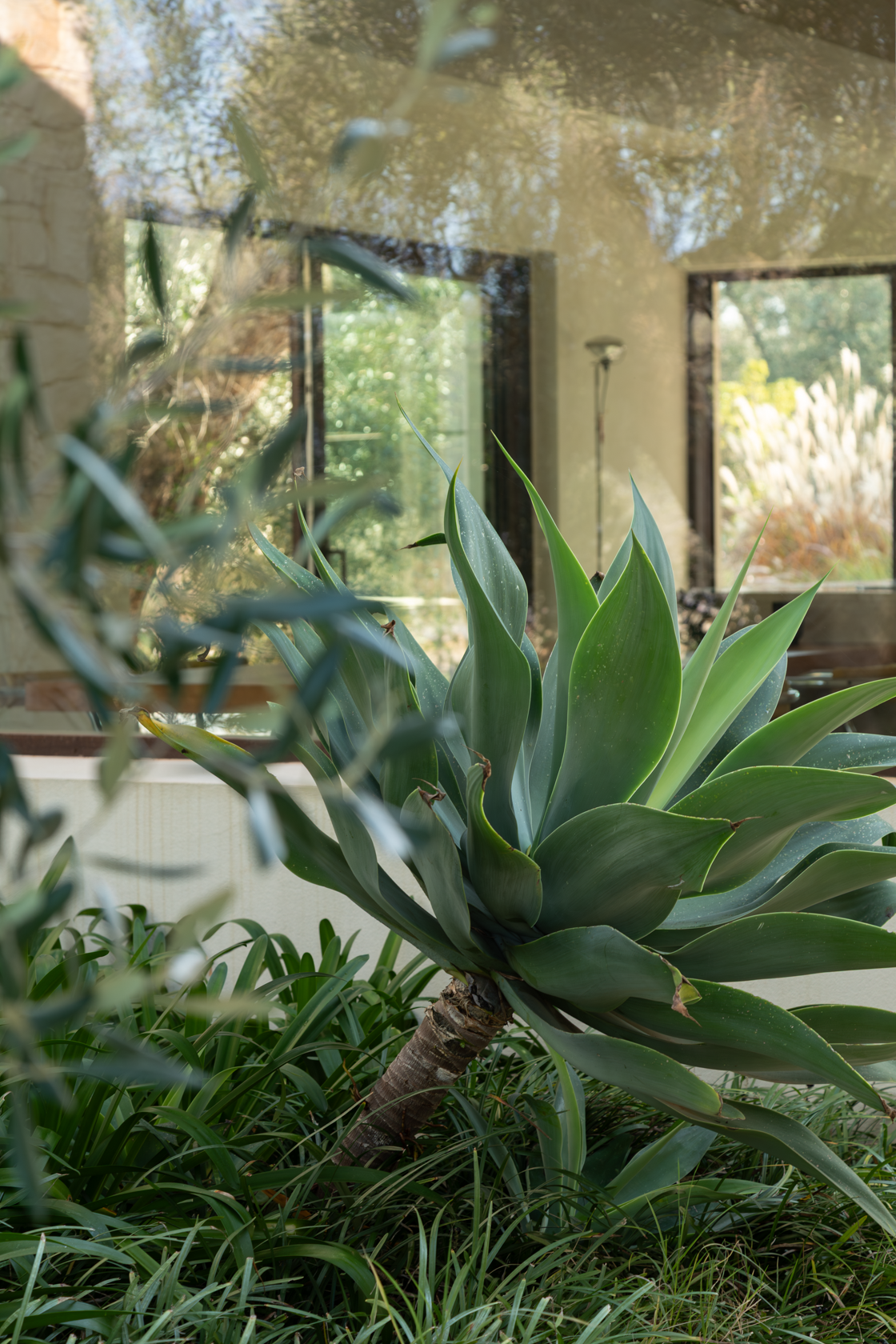 Shoot Puglia Location X-96.png