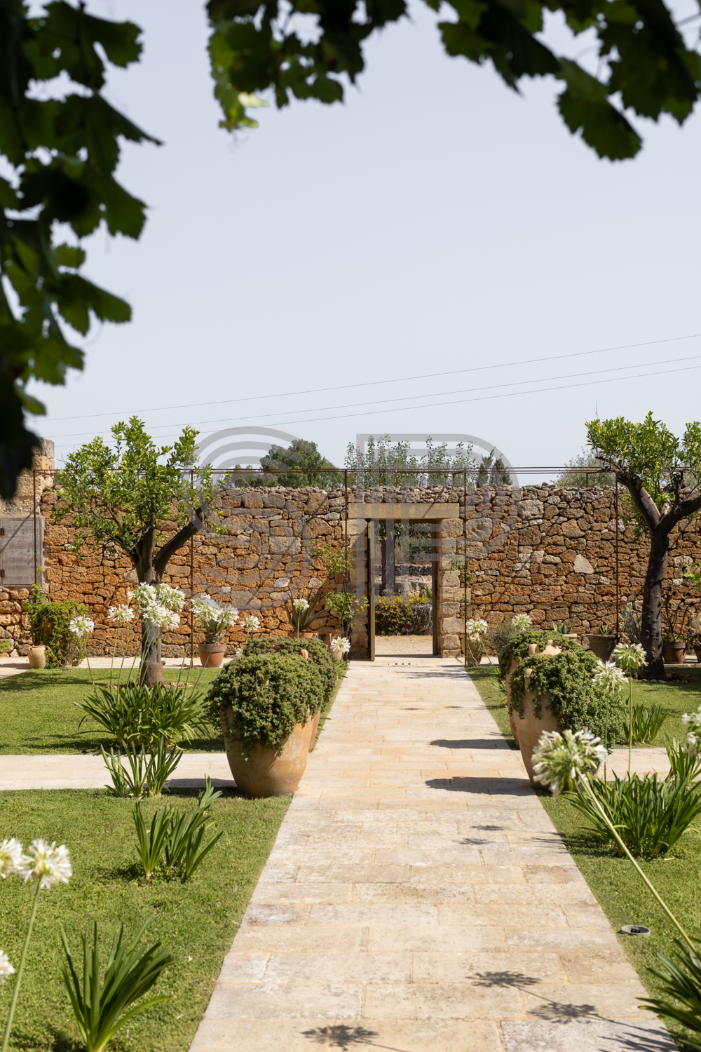 Walled Mediterranean garden with stone pathways, mature planting and traditional Puglian stone walls.