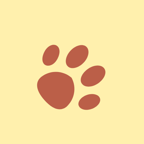 LITTLE STORIES FOR LITTLE LIONS