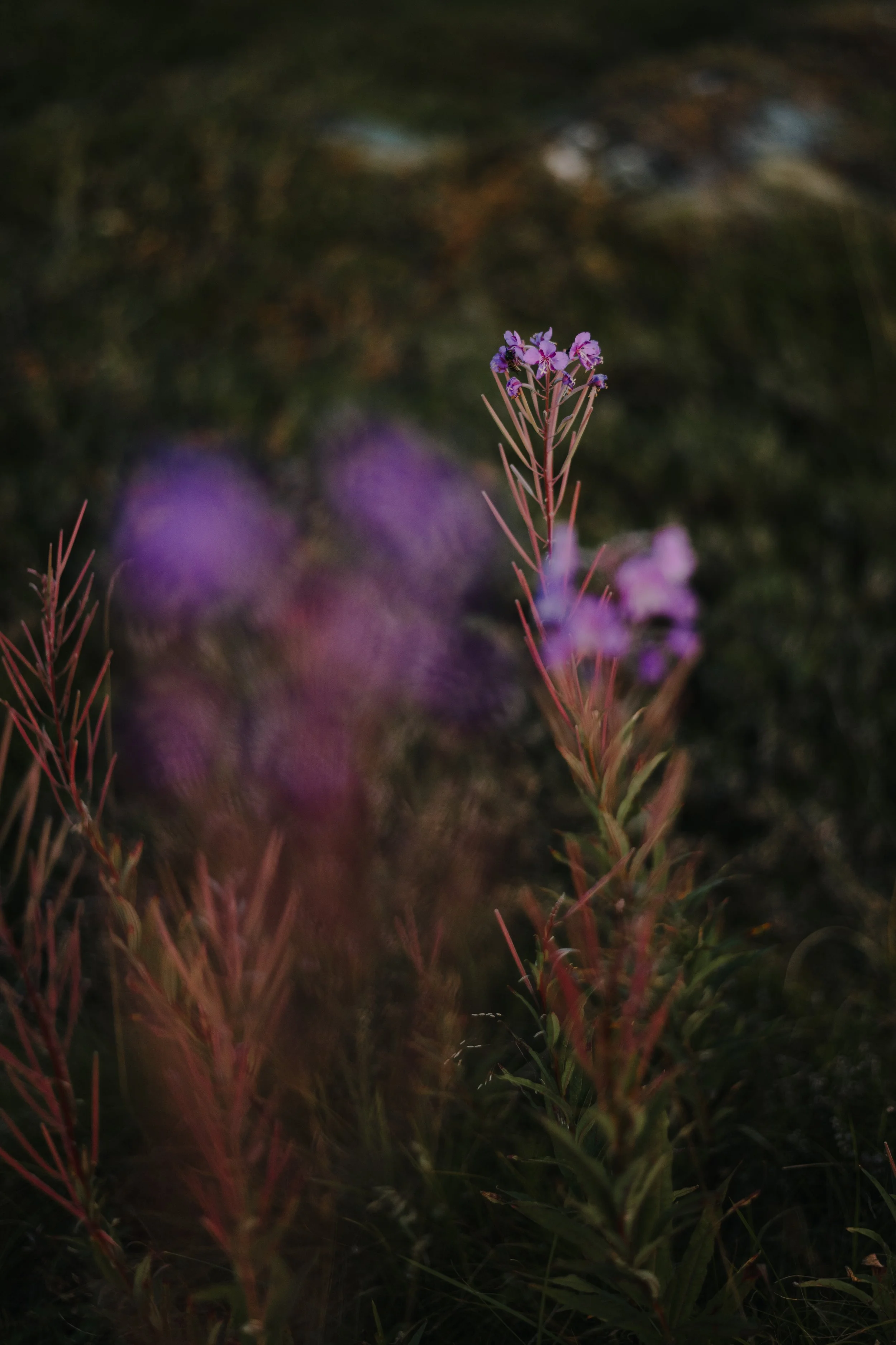 Wednesday 2nd Round-51.jpg