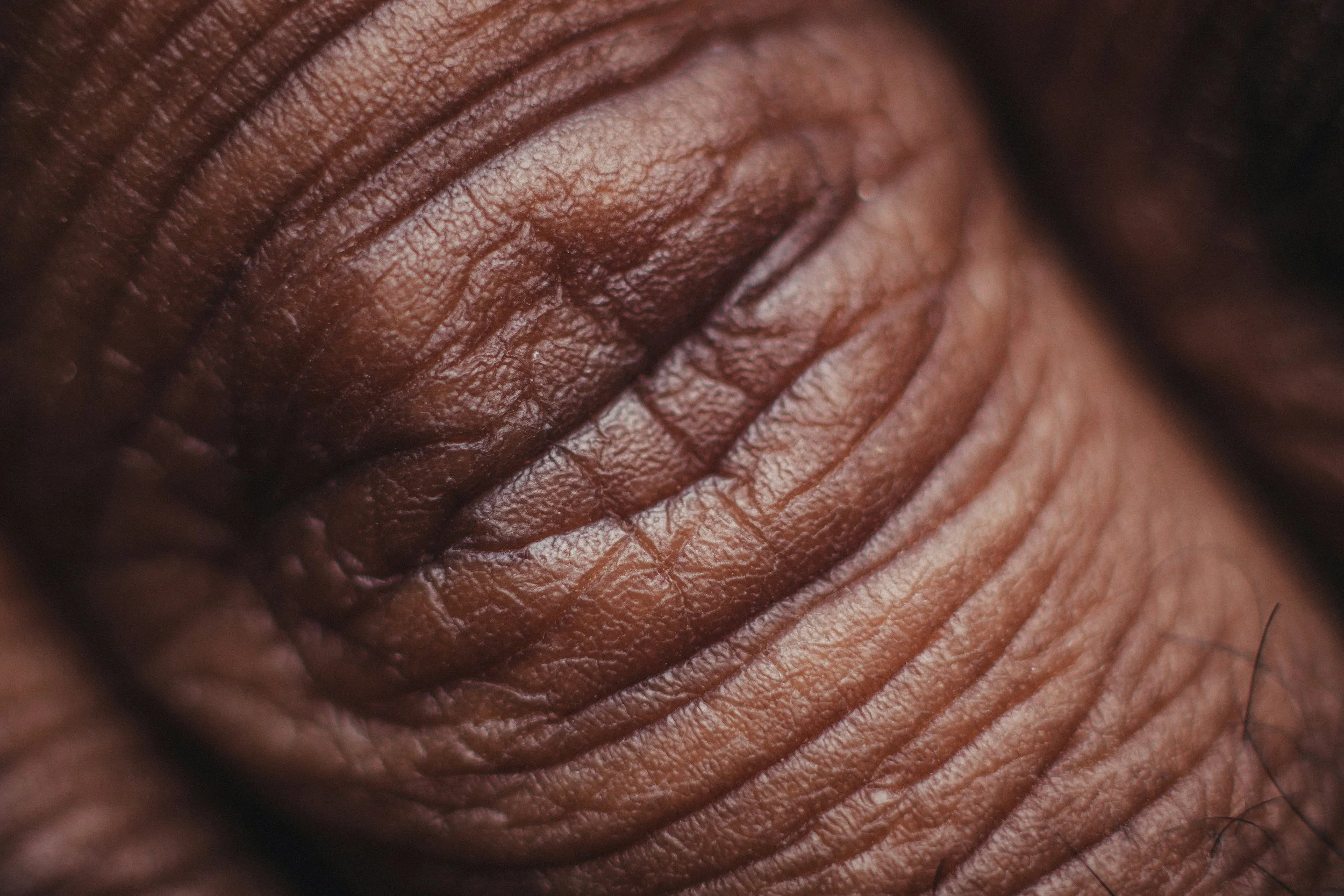 unsplash-image-RBzm131cMHk.jpg