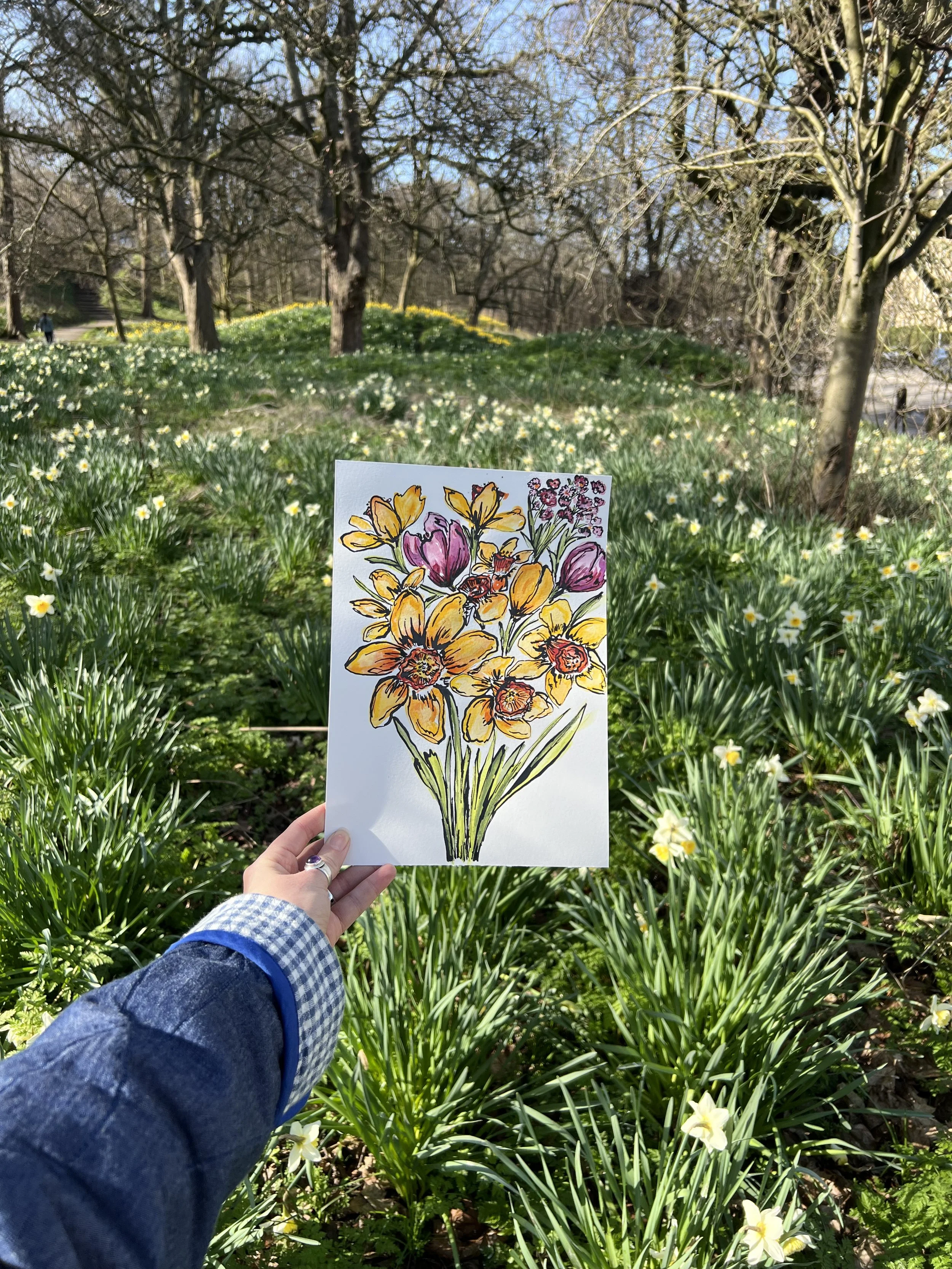 Tulips and Daffodils
