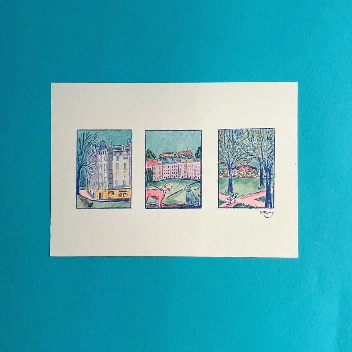 A walk in the meadows