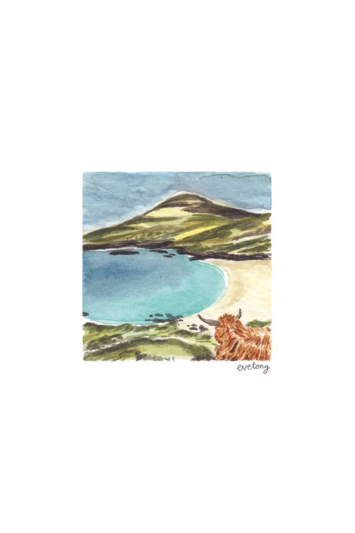 Wee Coo on the Beach