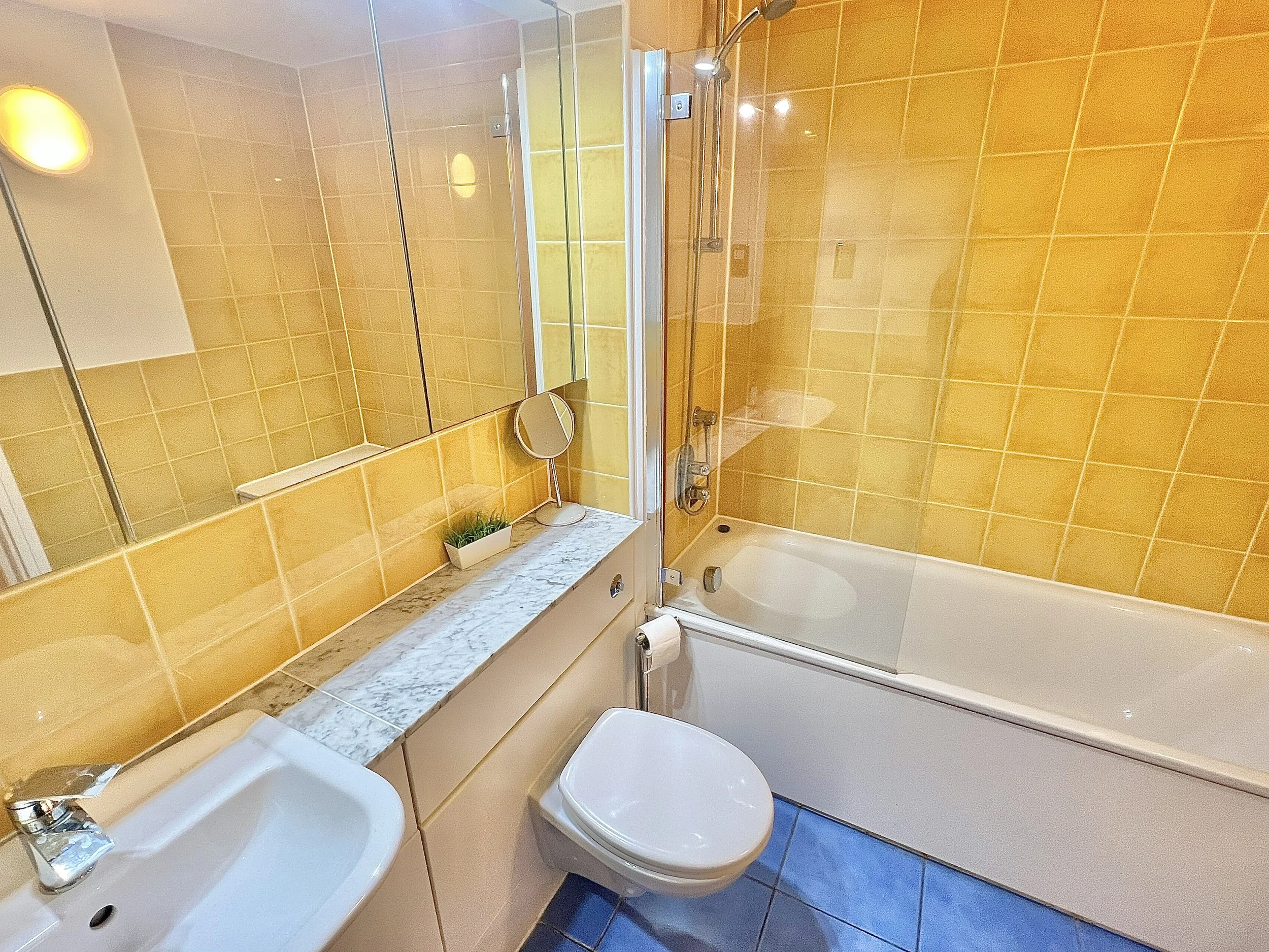 1  Bedroom Flat Albany Court