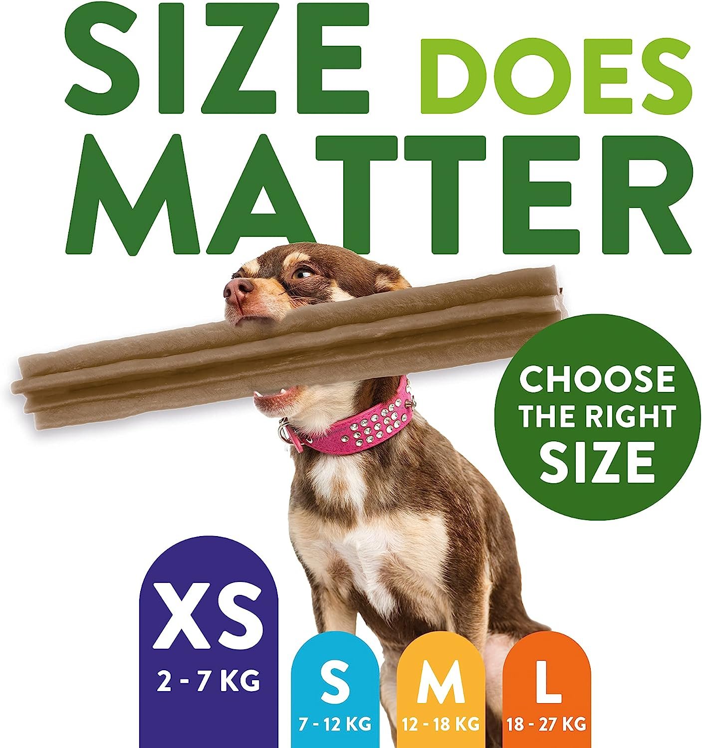 dogchew3.jpg
