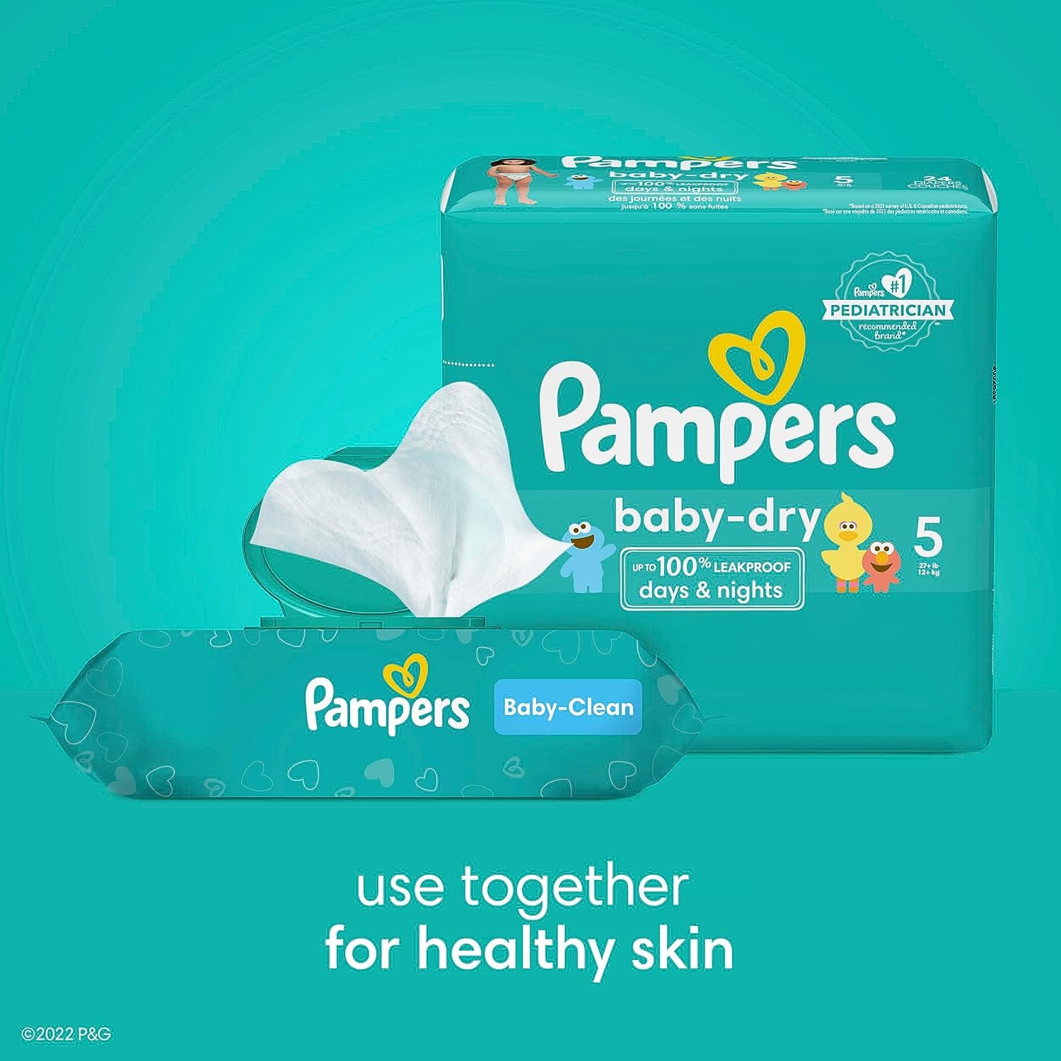 pamp3.jpg