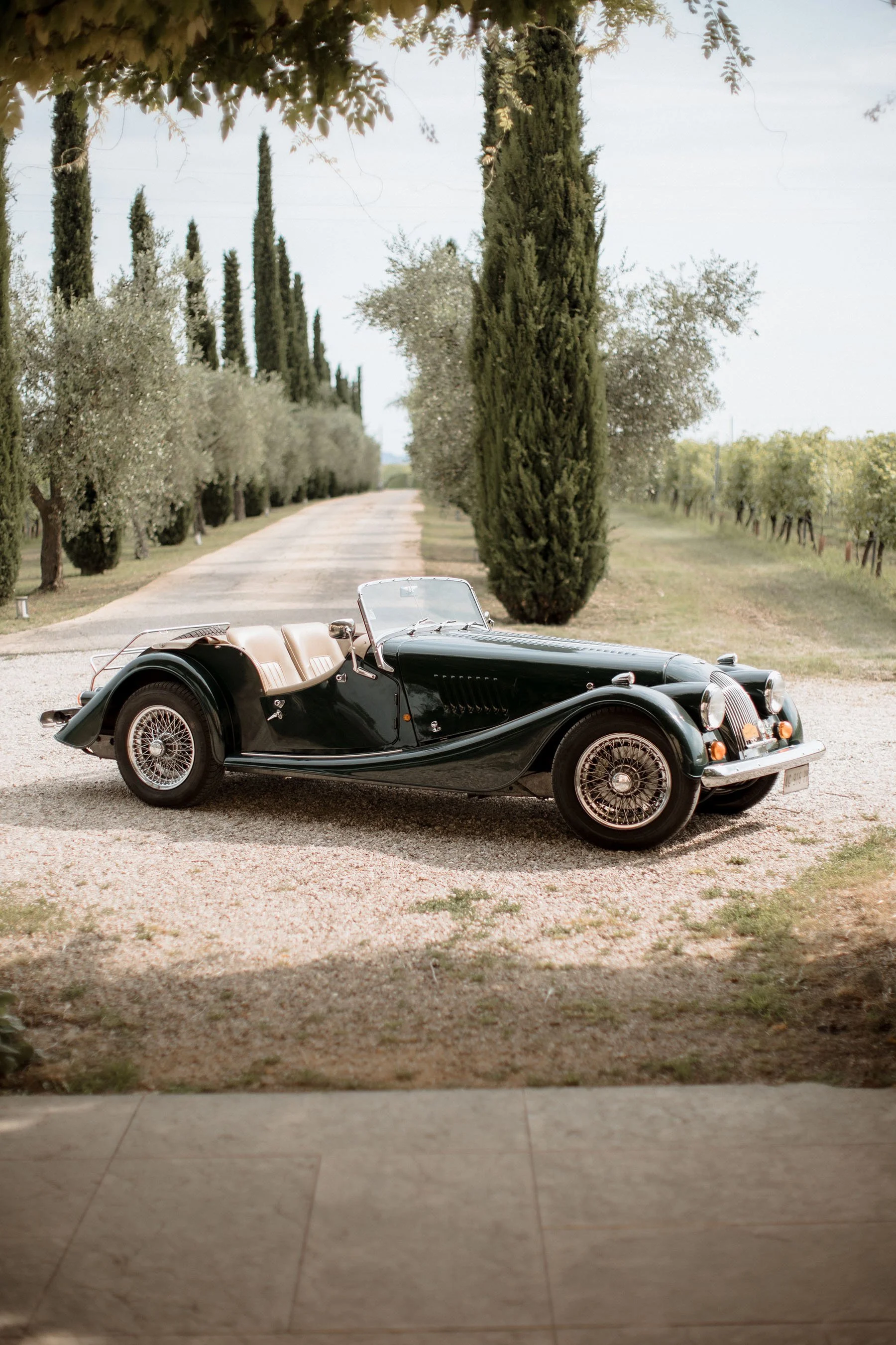 Auto d'epoca nero parcheggiata in un vigneto con alberi e file di cipressi in background.
