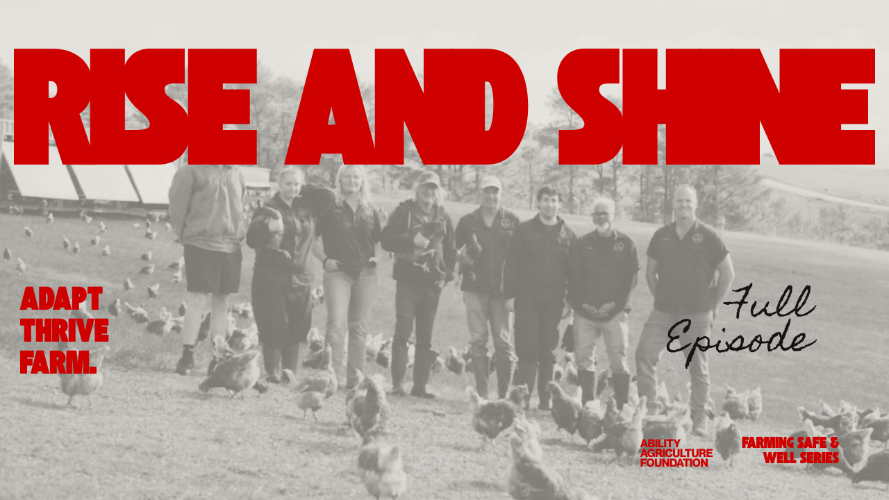 The Egg Farm Changing Lives: Inclusive Employment in Action