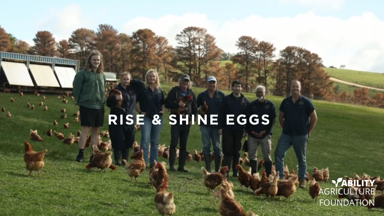 The Egg Farm Changing Lives: Inclusive Employment in Action