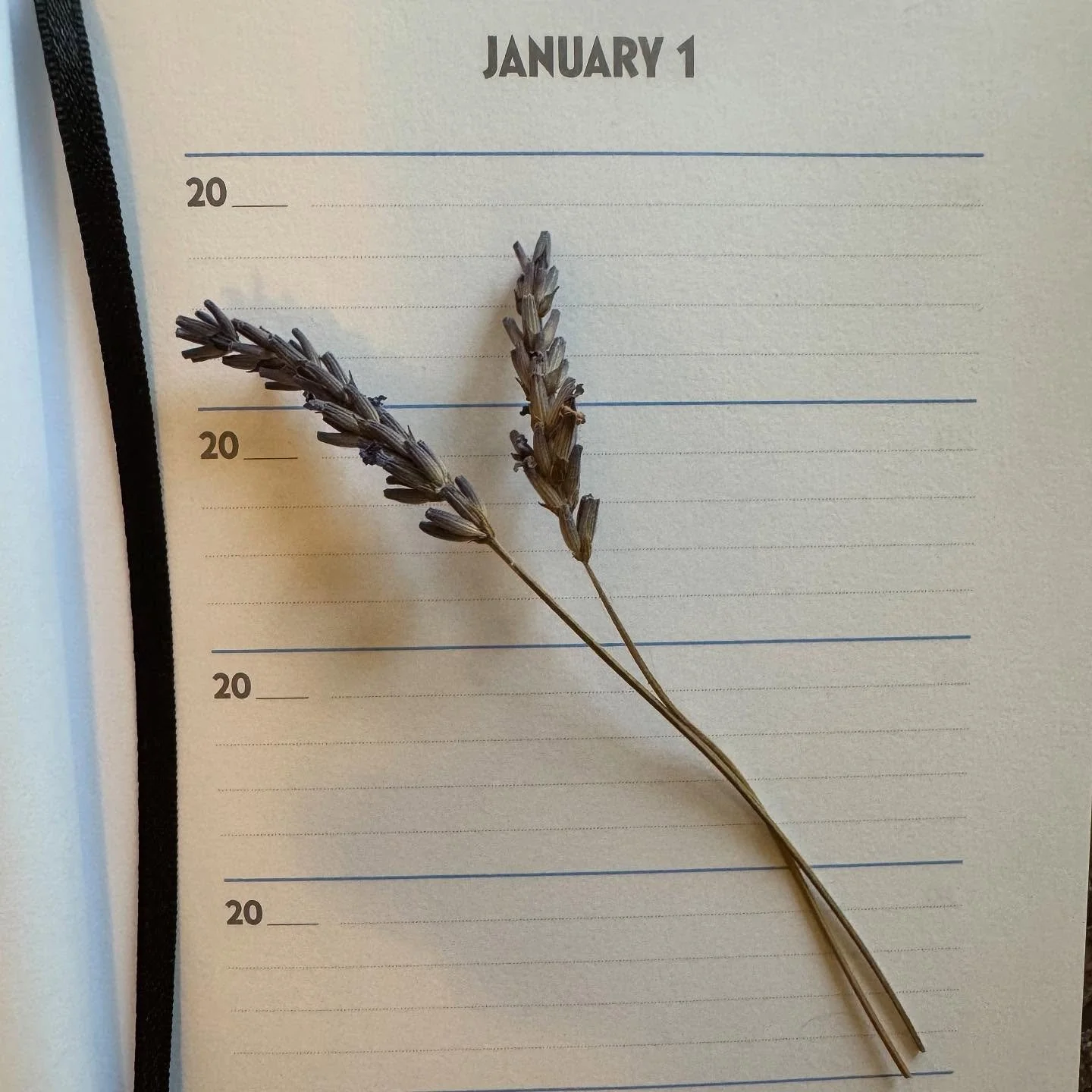JOYFUL new year, lovelies!
It&rsquo;s a clich&eacute;, but I am starting 2025 with a literal blank page as I got a five-year one-line-a-day journal for Christmas and I can&rsquo;t wait to start it.
My Granny used to keep one of these and call me up t