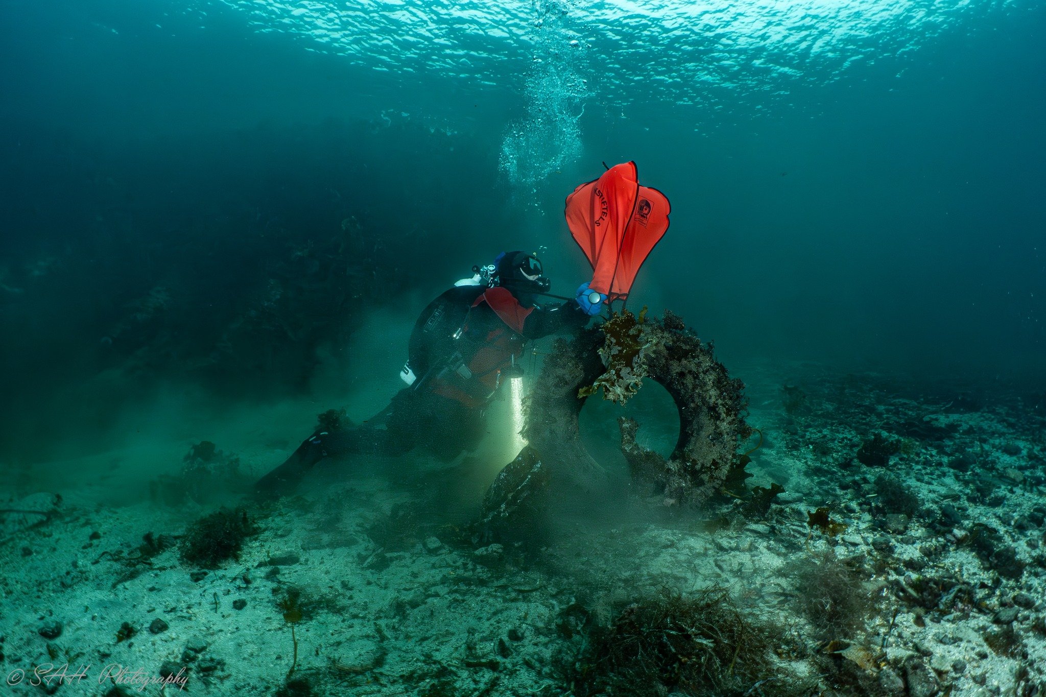 Ryddeaksjon på kalsøy