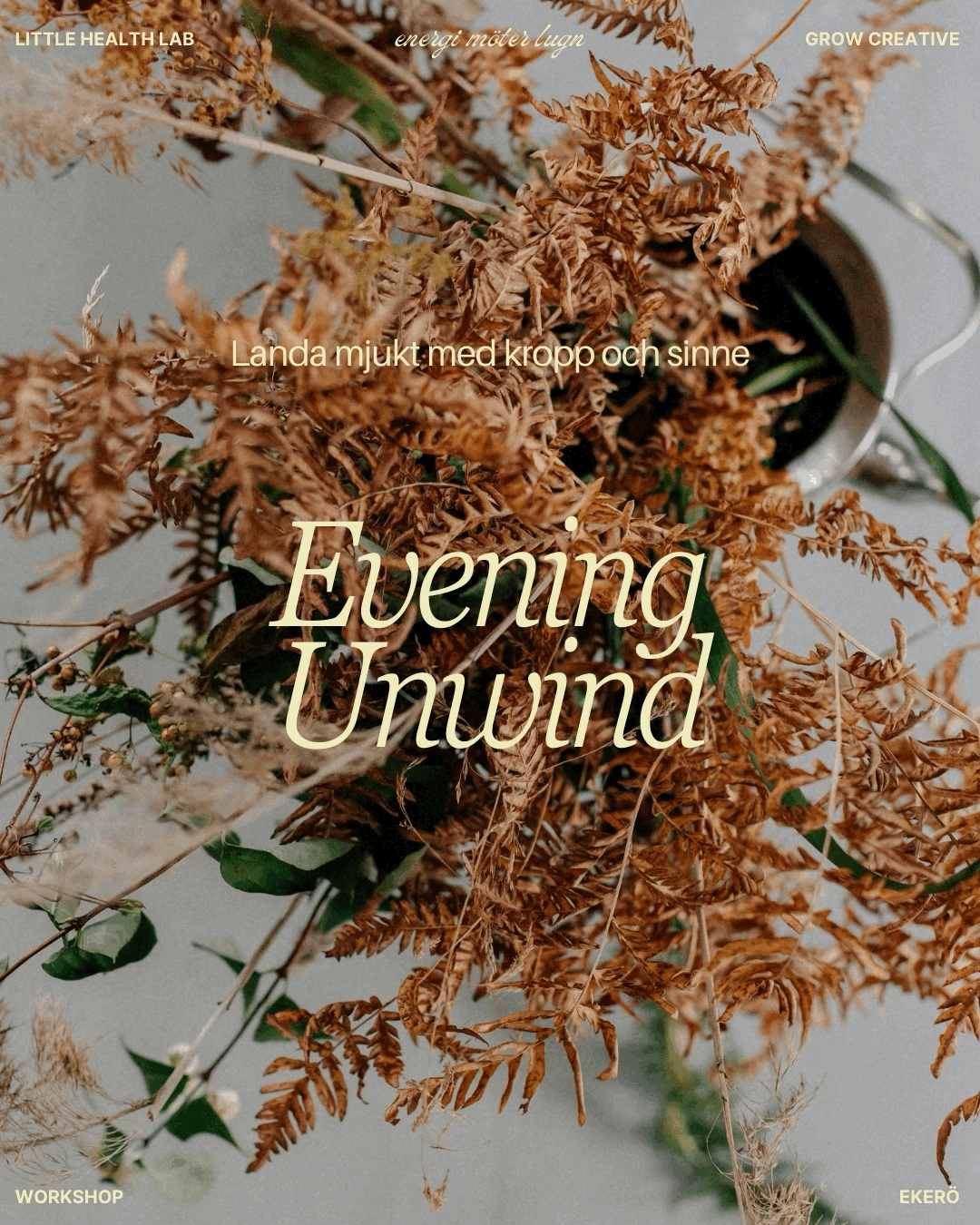 Evening Unwind