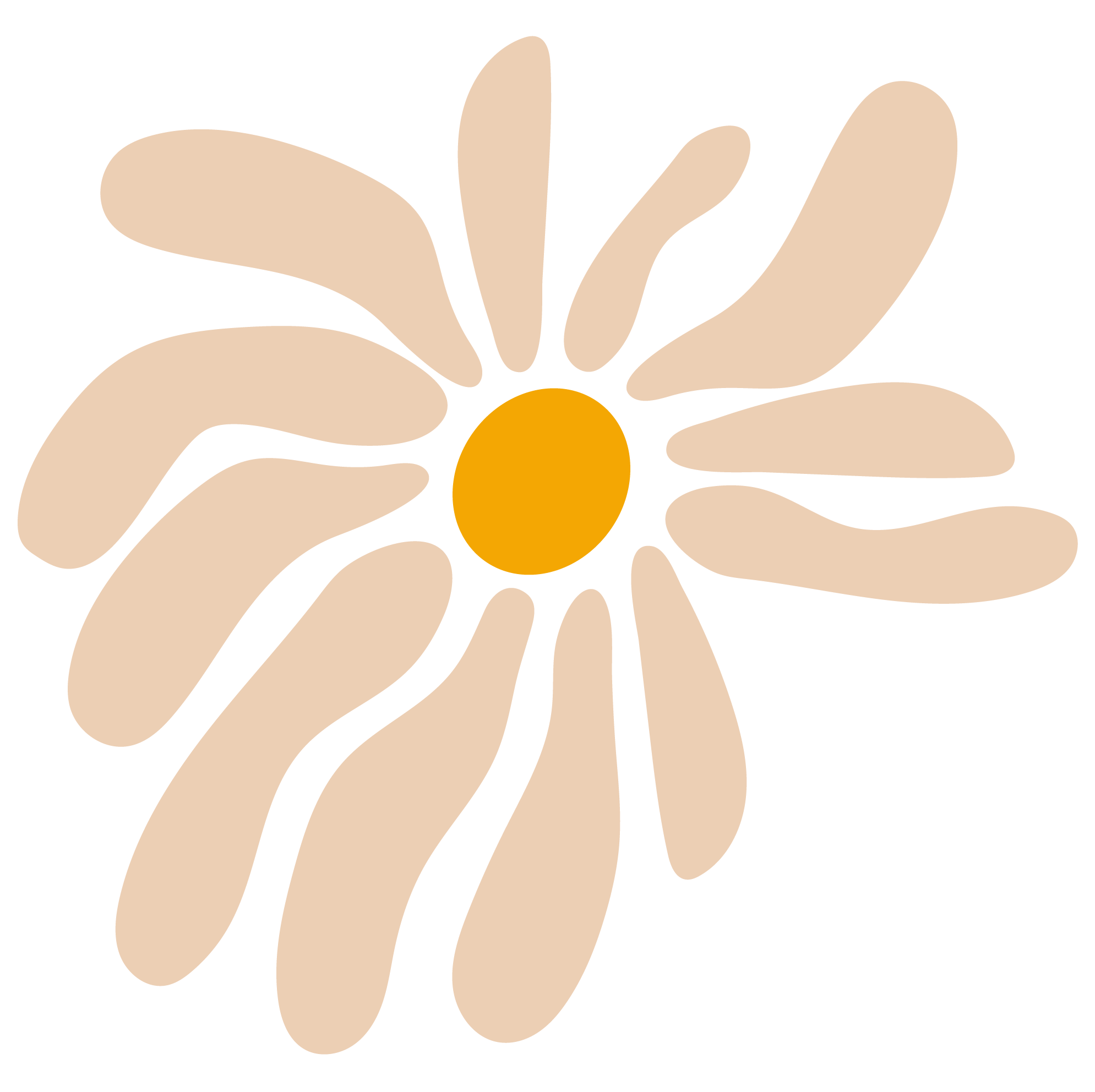 Ilustración de una margarita con pétalos anchos y centro de color amarillo