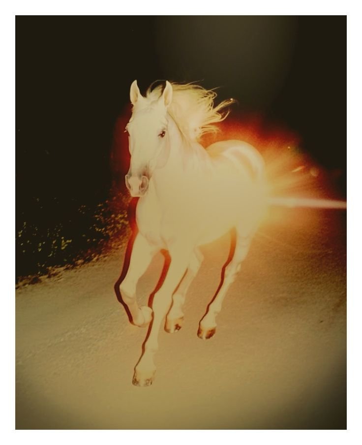 Sun In Sagittarius.jpg