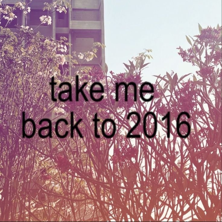 Ein Bild mit blühenden Sträuchern vor einem Gebäude, darüber der Schriftzug ‚take me back to 2016‘.