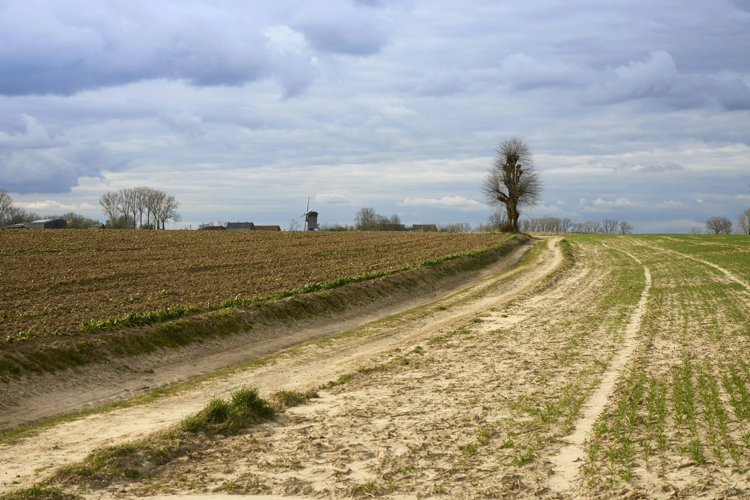 Both Ditches Are on the Same Road