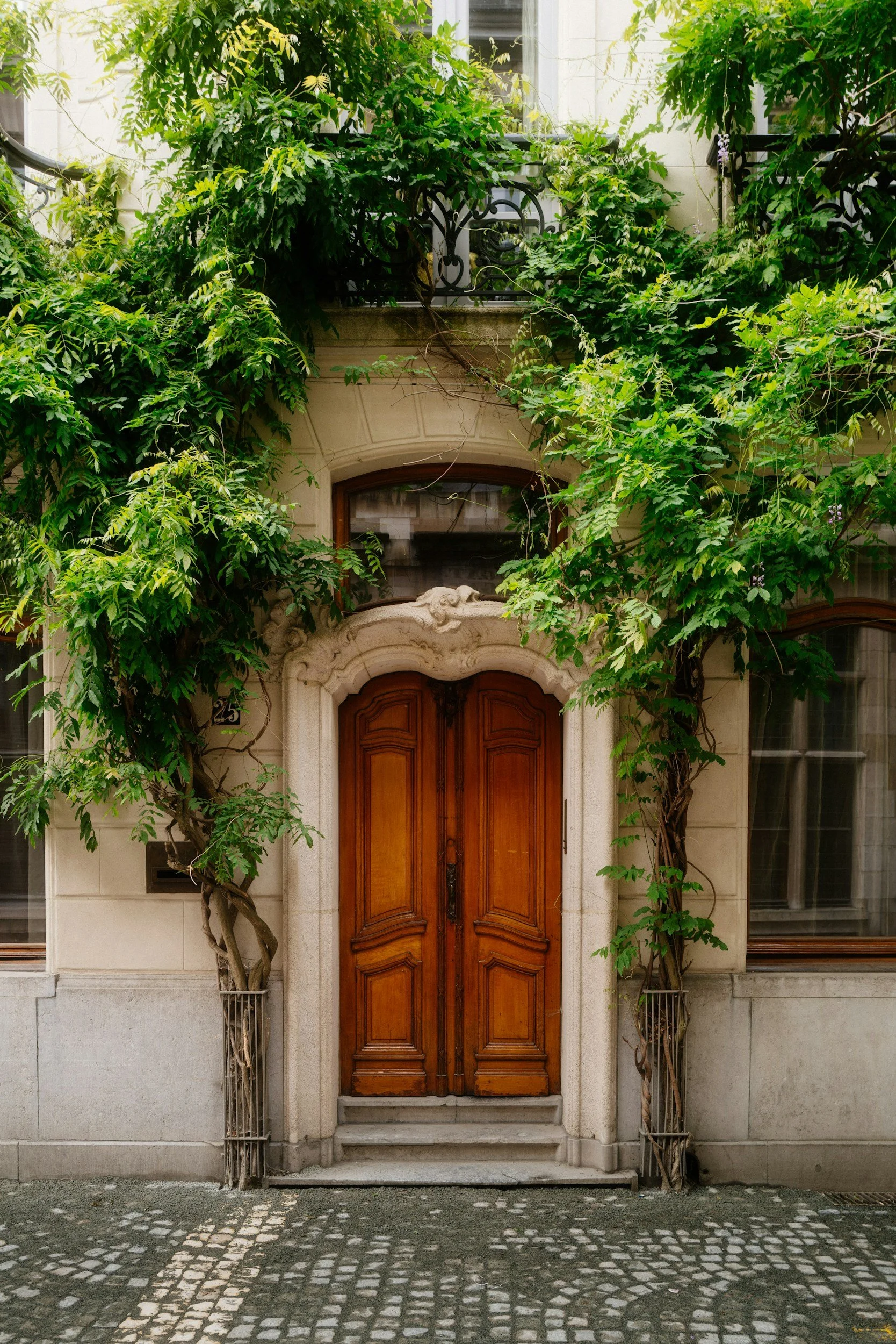 Holztüren in einem historischen Hauseingang, eingerahmt von hellem Stein und üppig bewachsenen Rankpflanzen; handwerklich gefertigte Türen als Beispiel für Renovationen und Neubauten