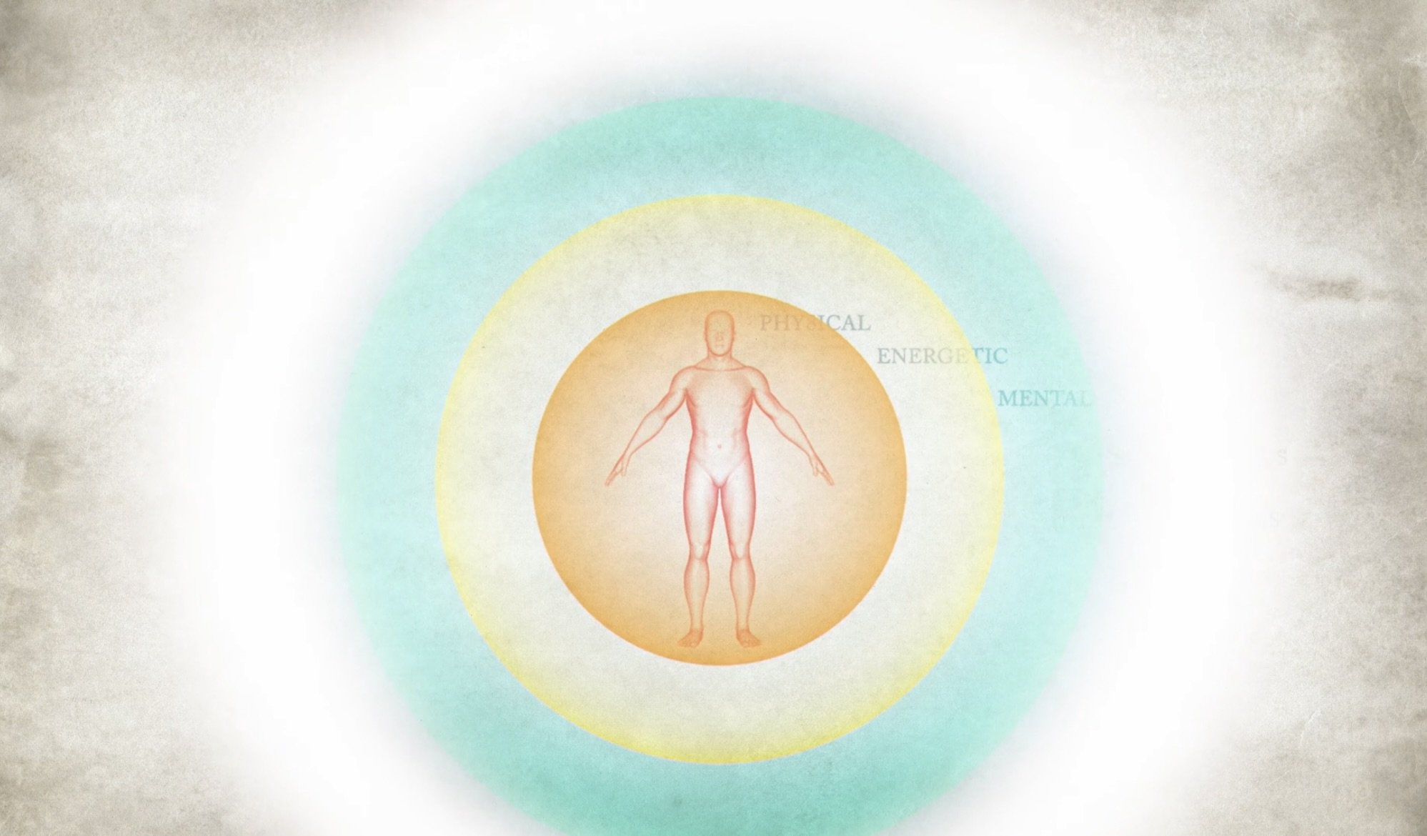 A holistic approach to Lyme disease