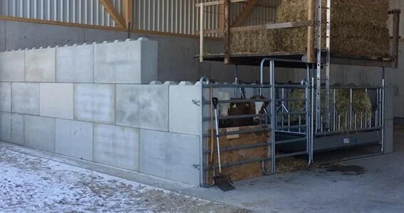 stable-walls-idea-concrete-blocks-567x300.jpg