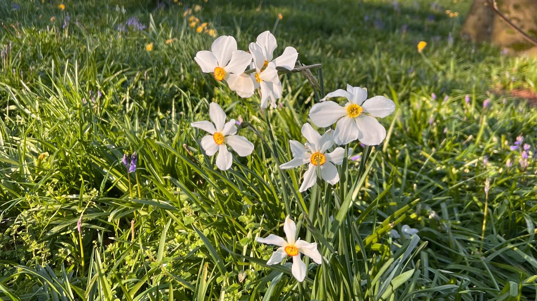 Spring Has Sprung at Art Ease: Creativity, Community &amp; New Beginnings