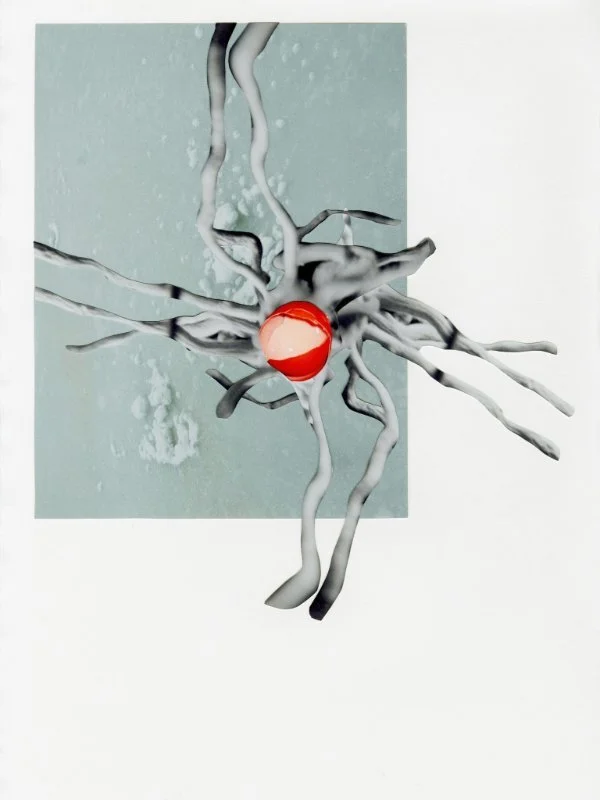 Eva Hovem - salgsutstilling