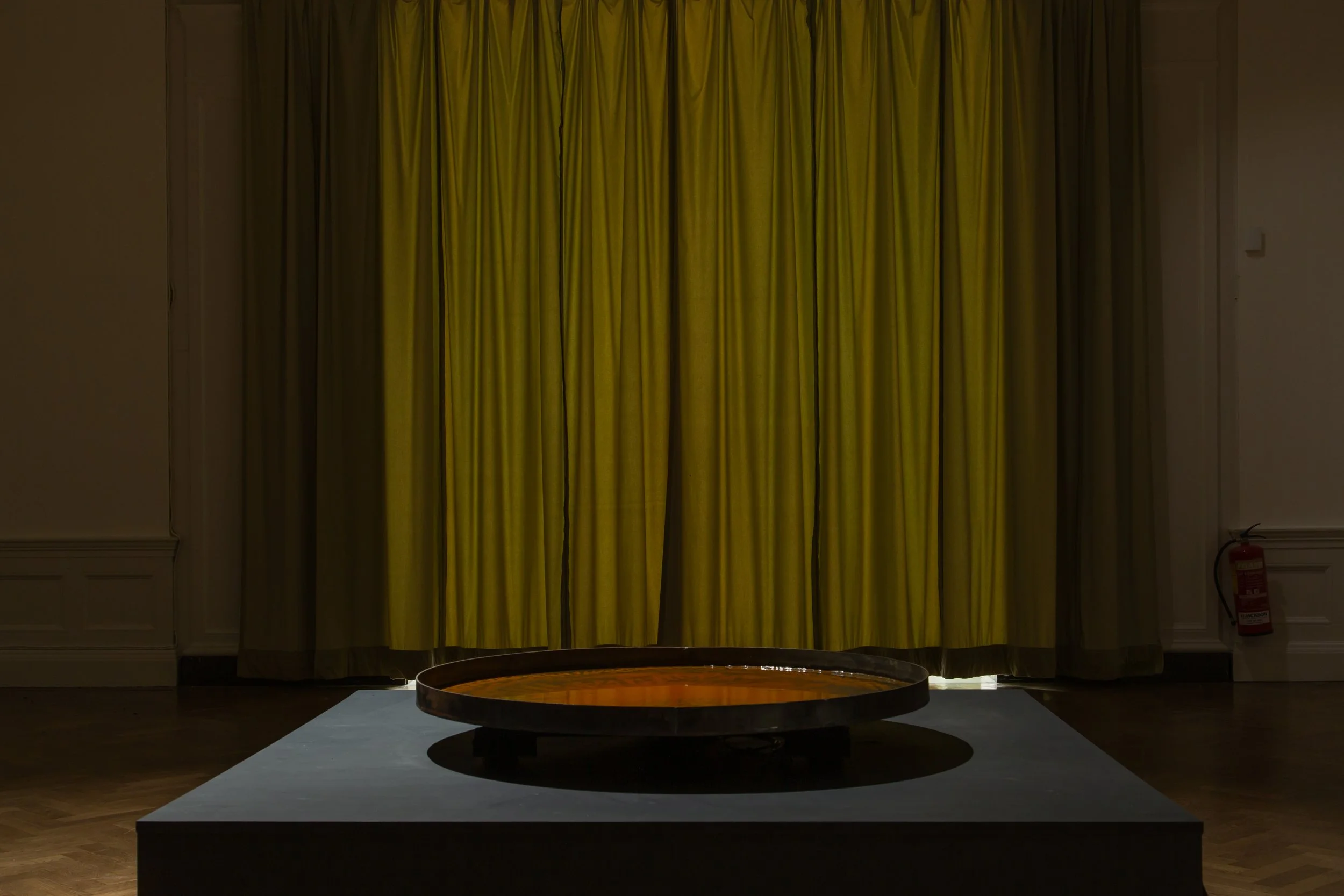 Into The Wyld - Nature - Exhibition Documentation-241.jpg