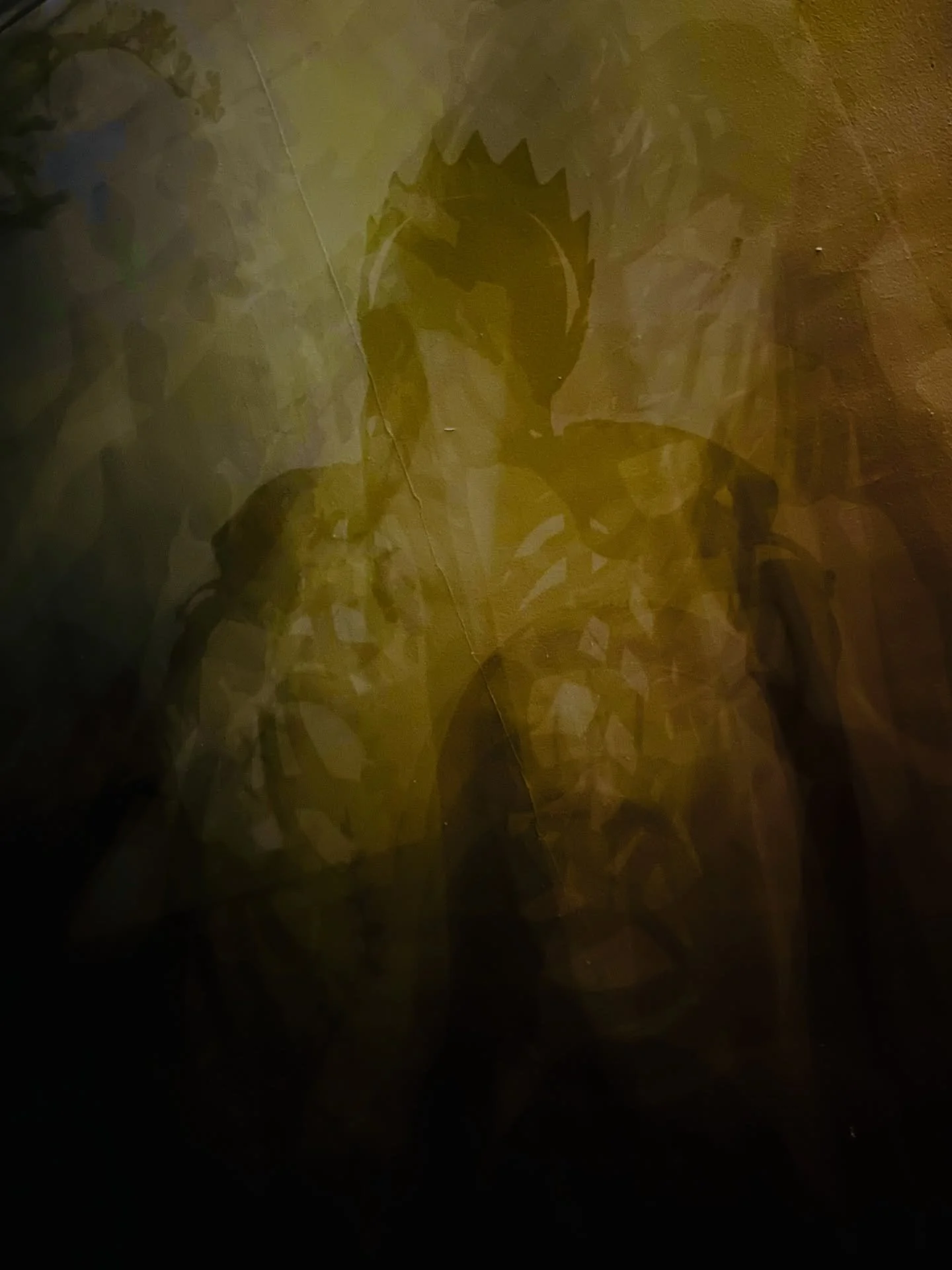 Shadow play