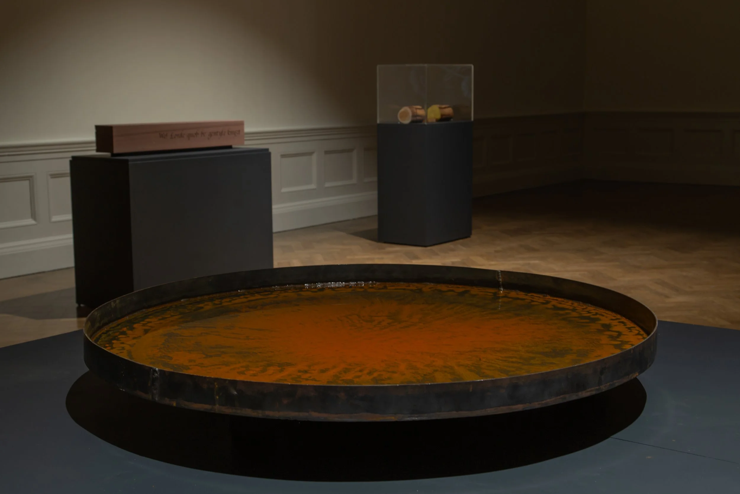 Into The Wyld - Nature - Exhibition Documentation-230.jpg