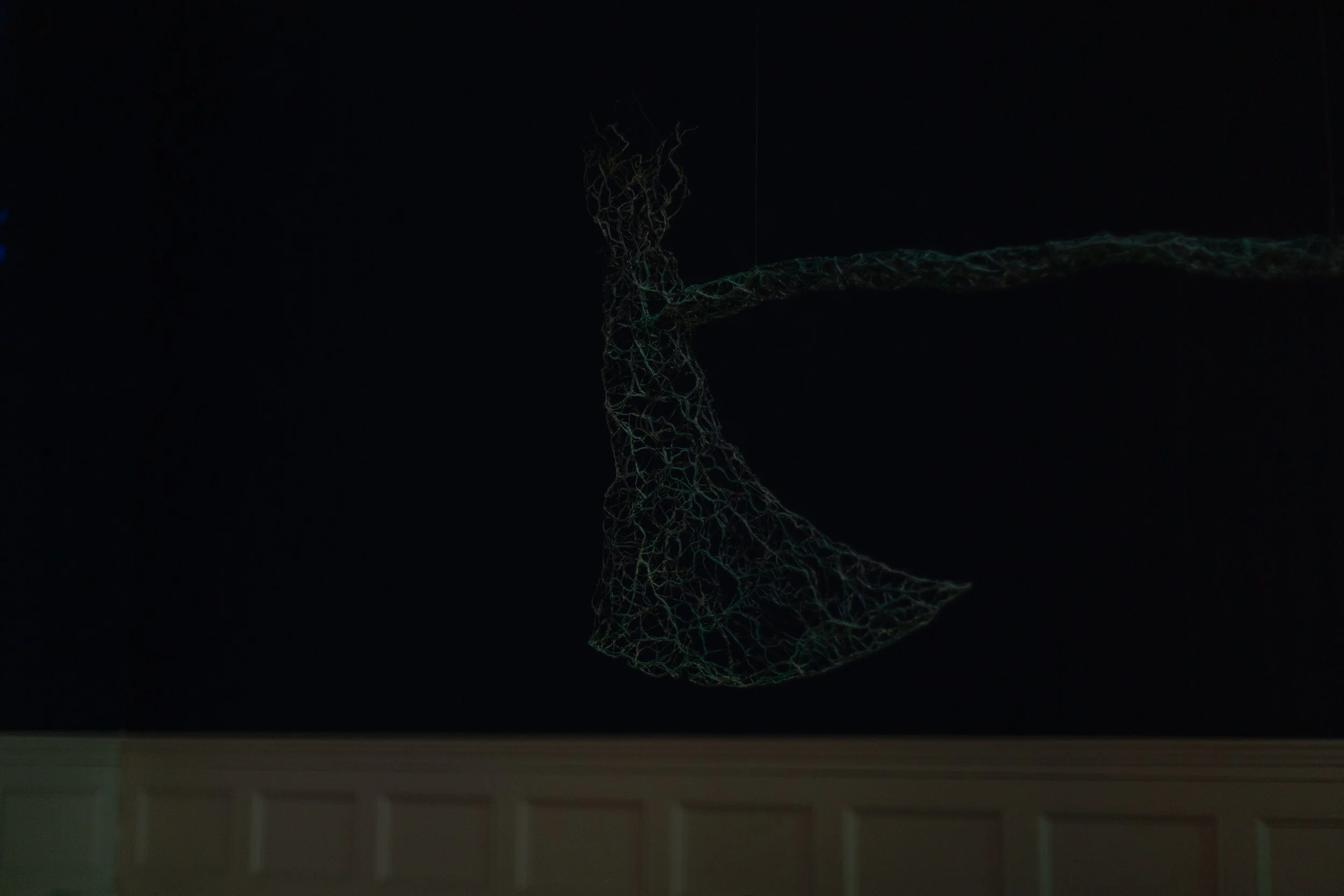 Into The Wyld - Nature - Exhibition Documentation-247.jpg