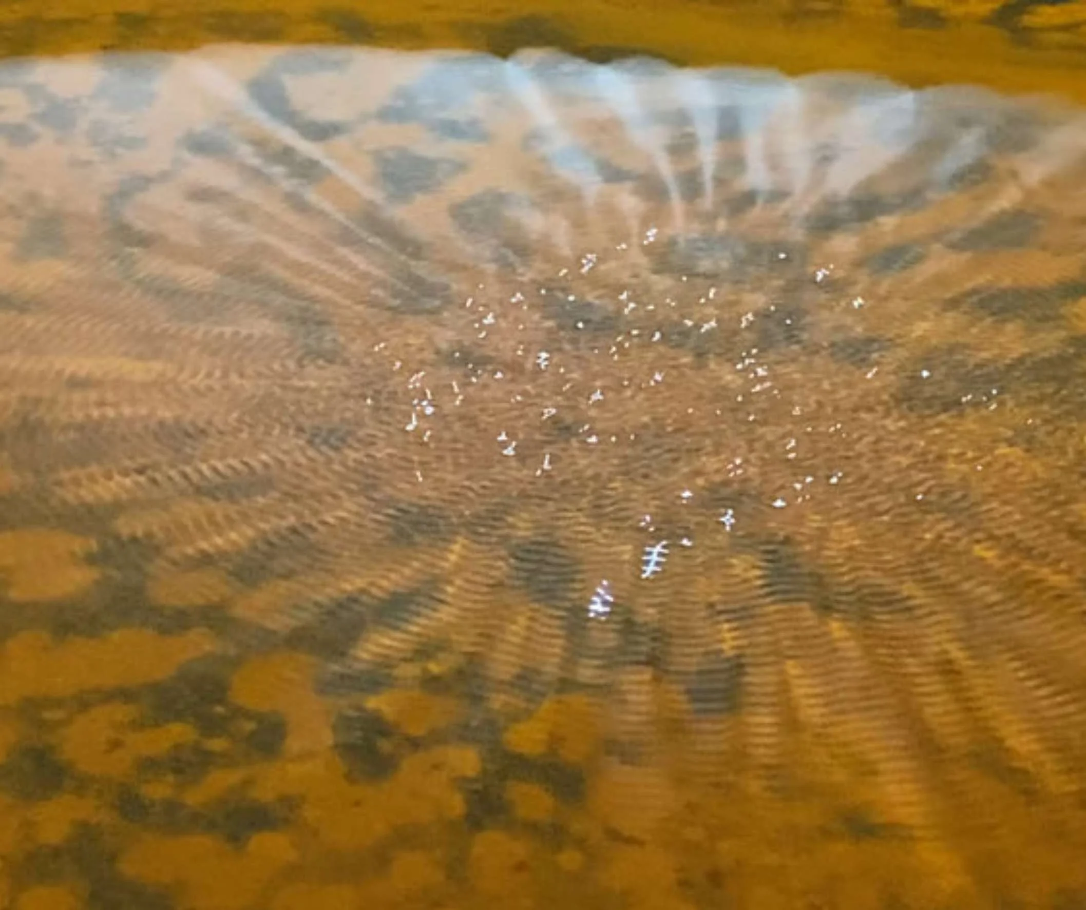 Angelo Madonna — ECHOES AND RESONANCE (2024)