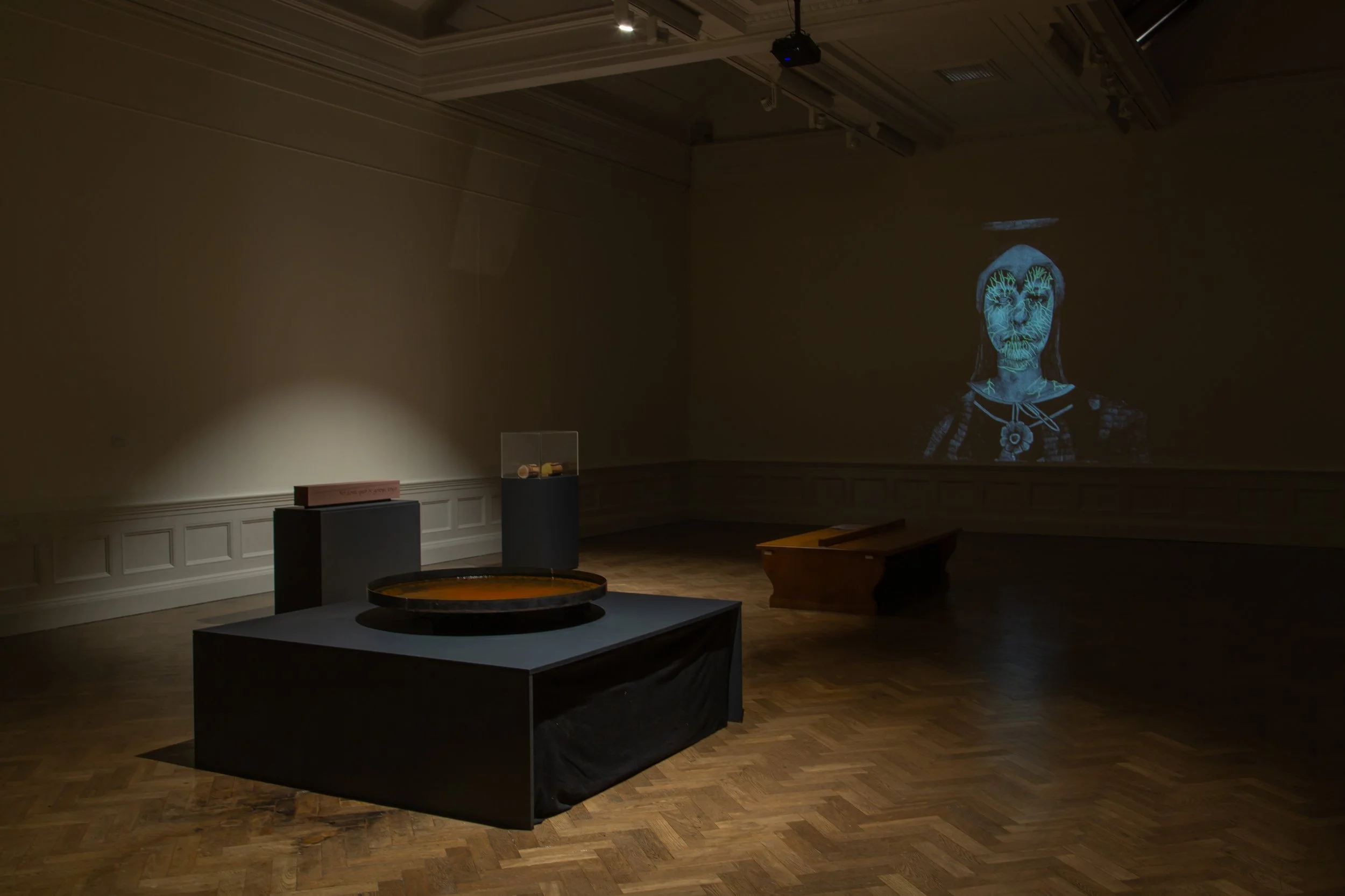 Into The Wyld - Nature - Exhibition Documentation-221.jpg