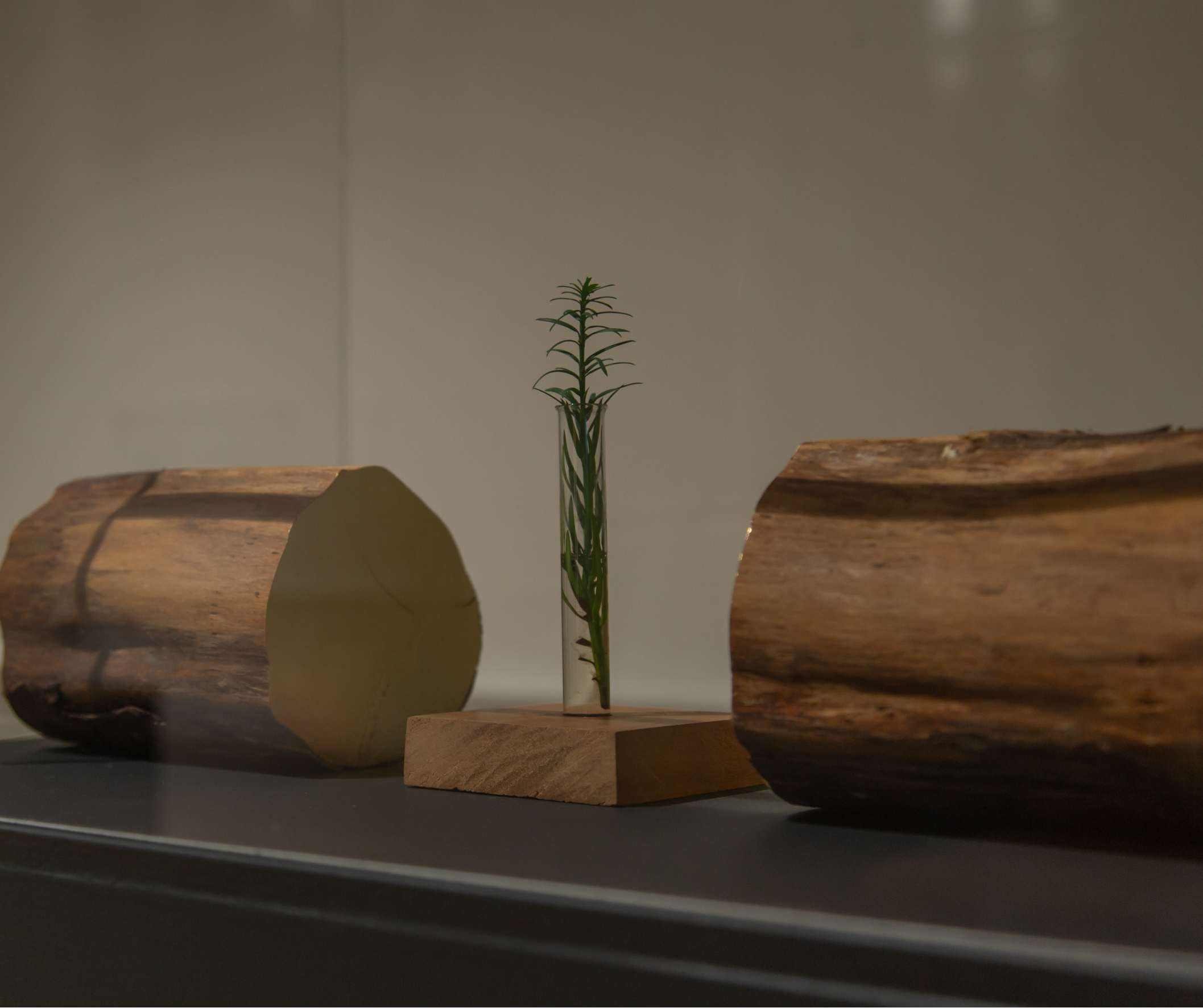 John Elcock — CLEAVE | CLEAVE (2024)